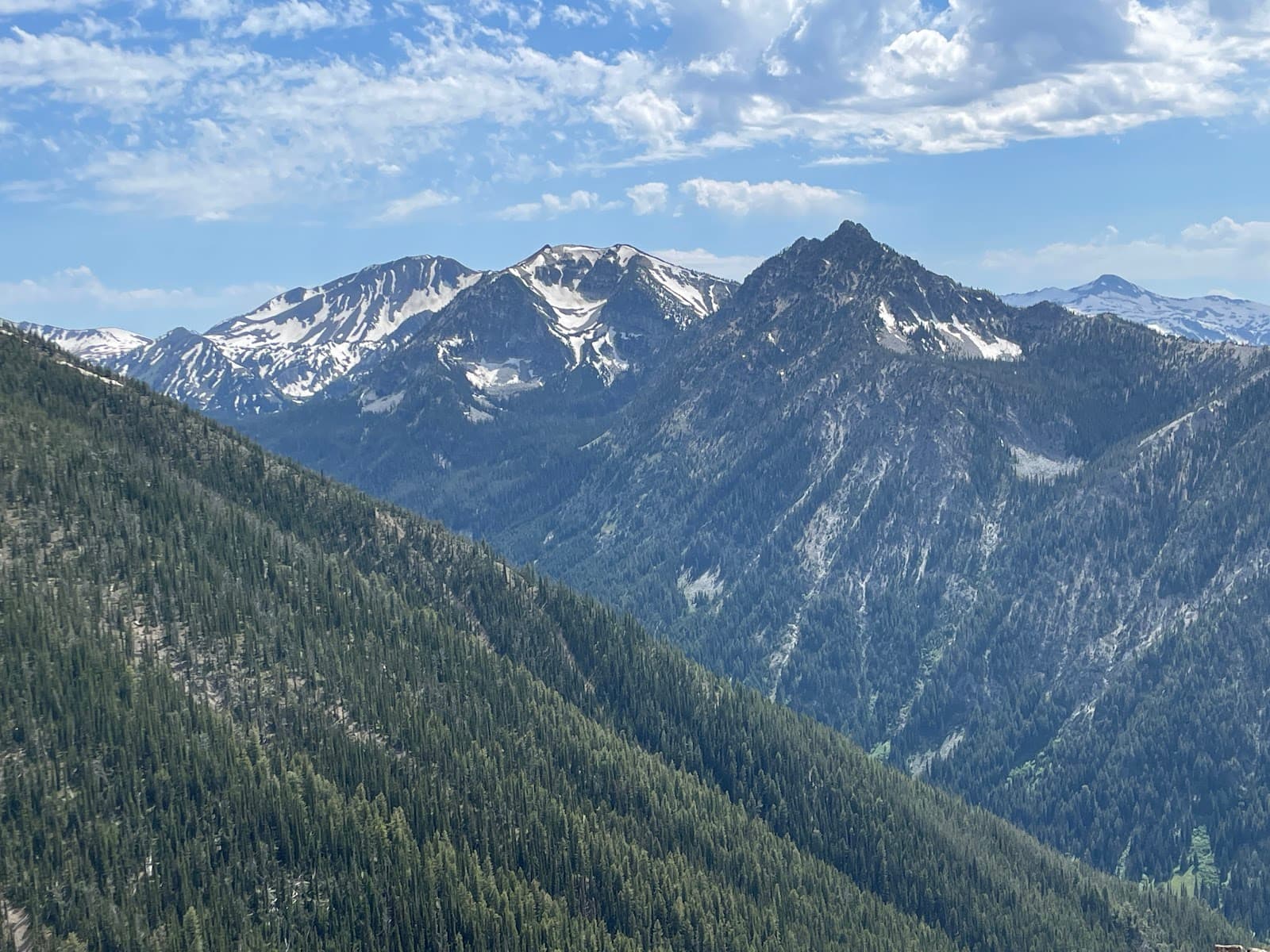 Mt. Howard Summit Trails - Image 1