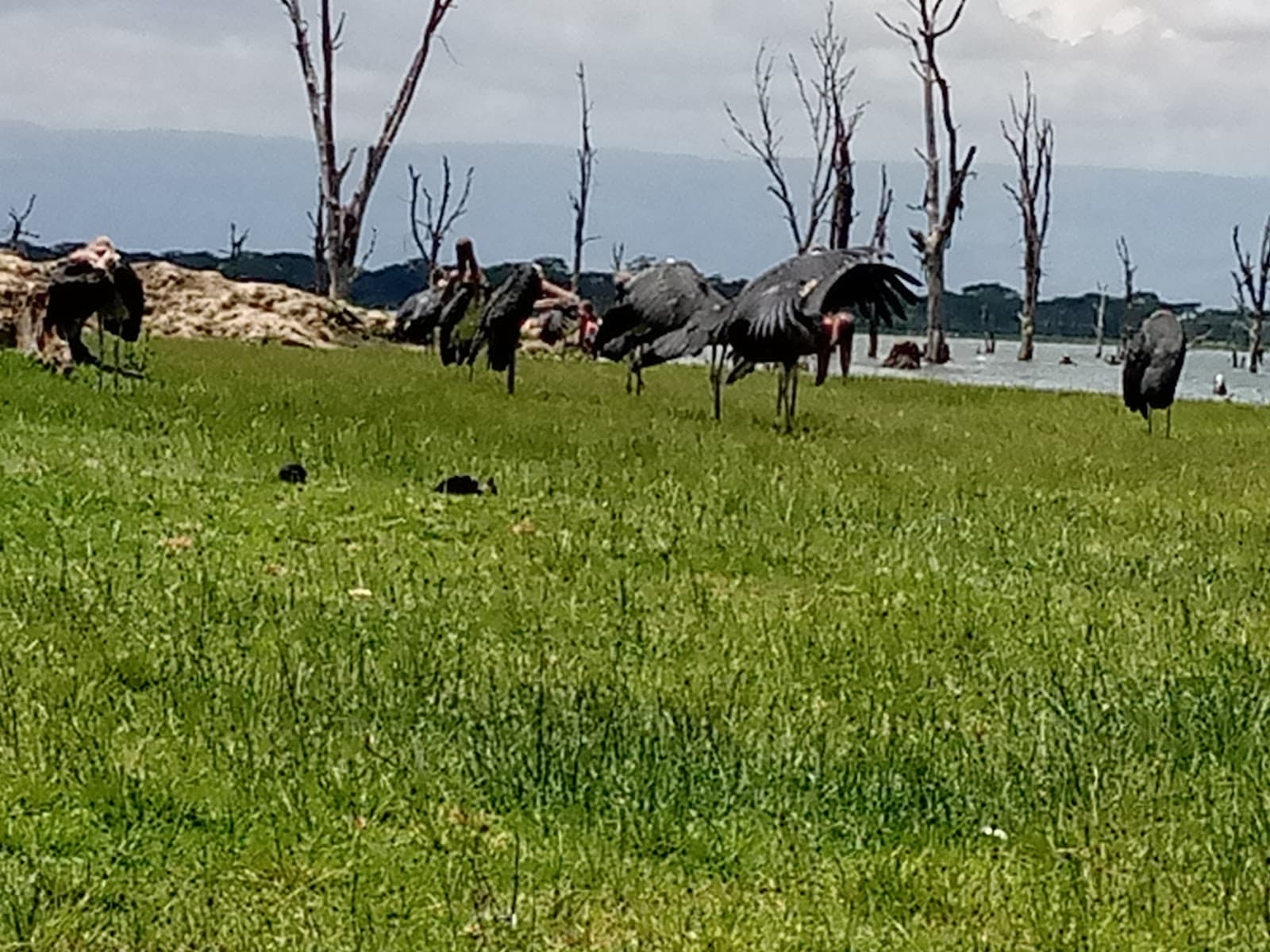 Karagita Public Beach - Image 1
