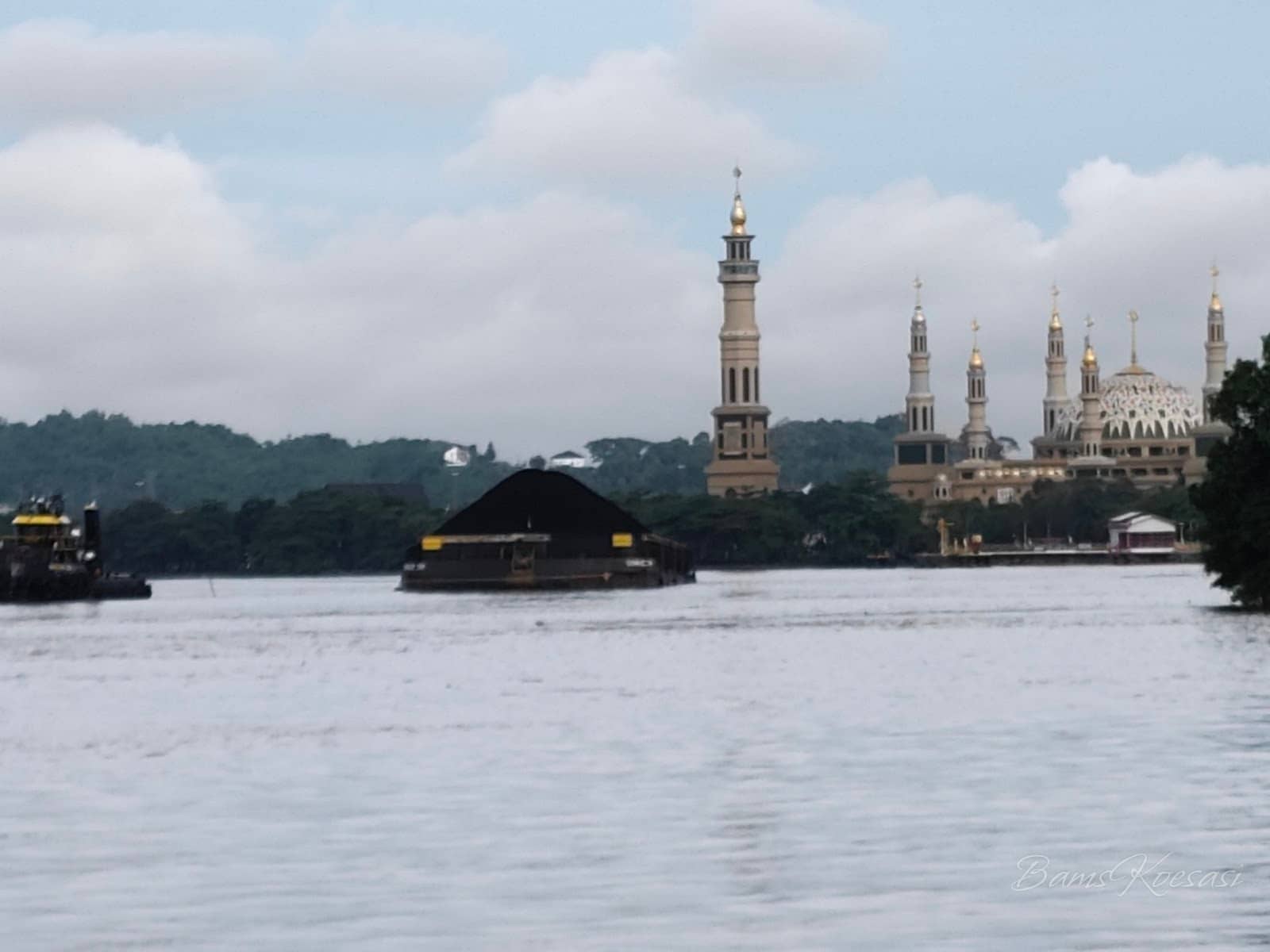 Street Food Delights