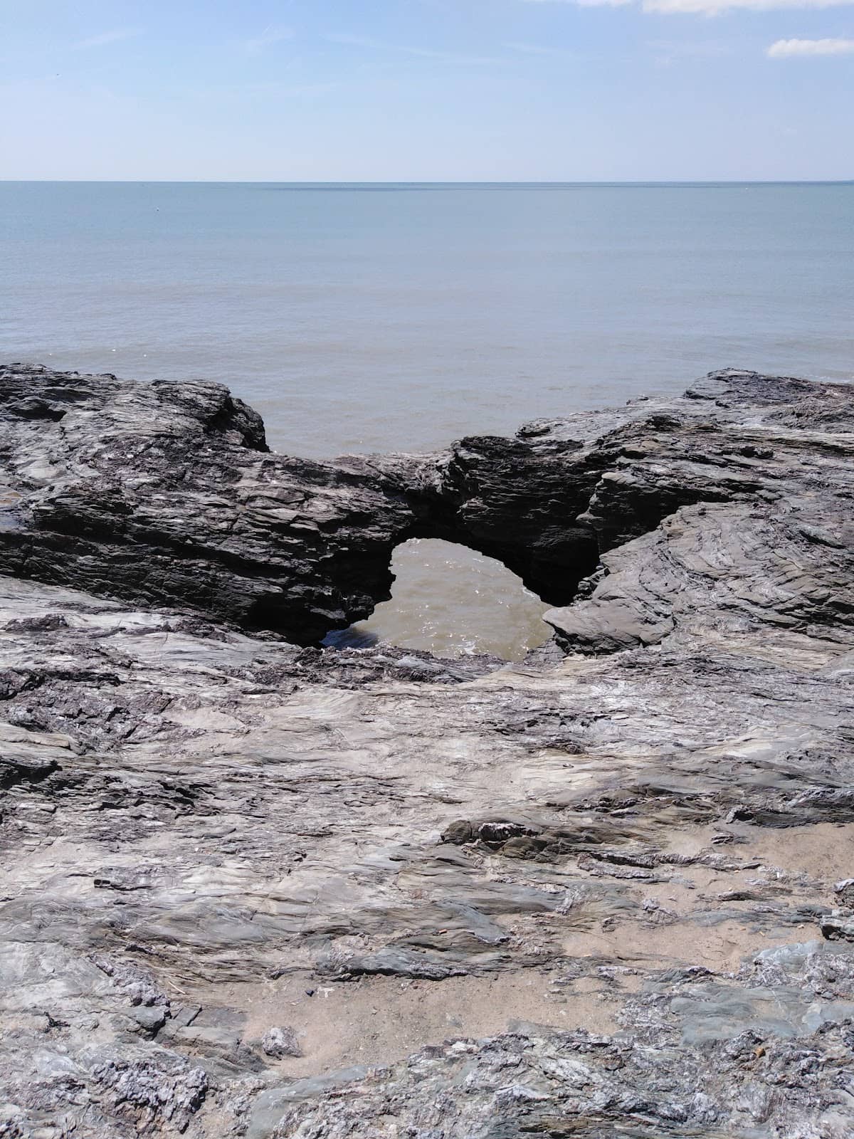 Vertical photo