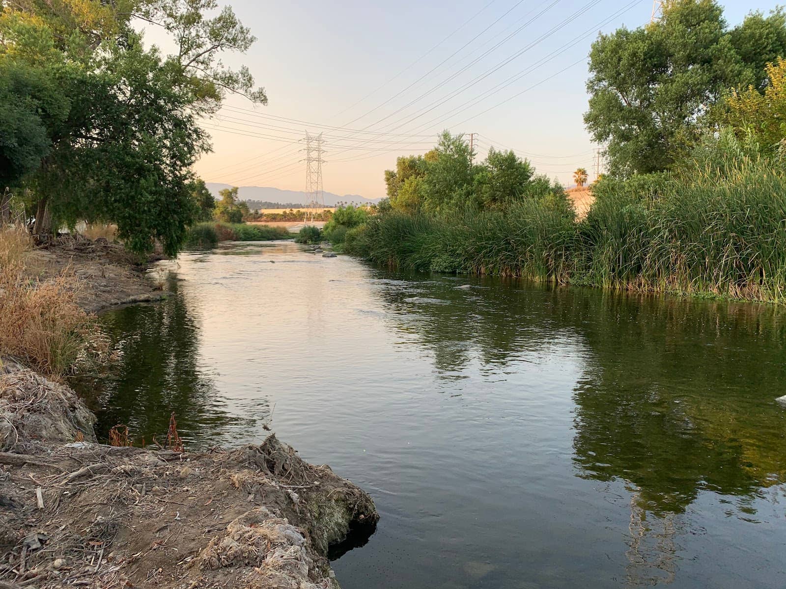 Frogtown's Culinary Scene