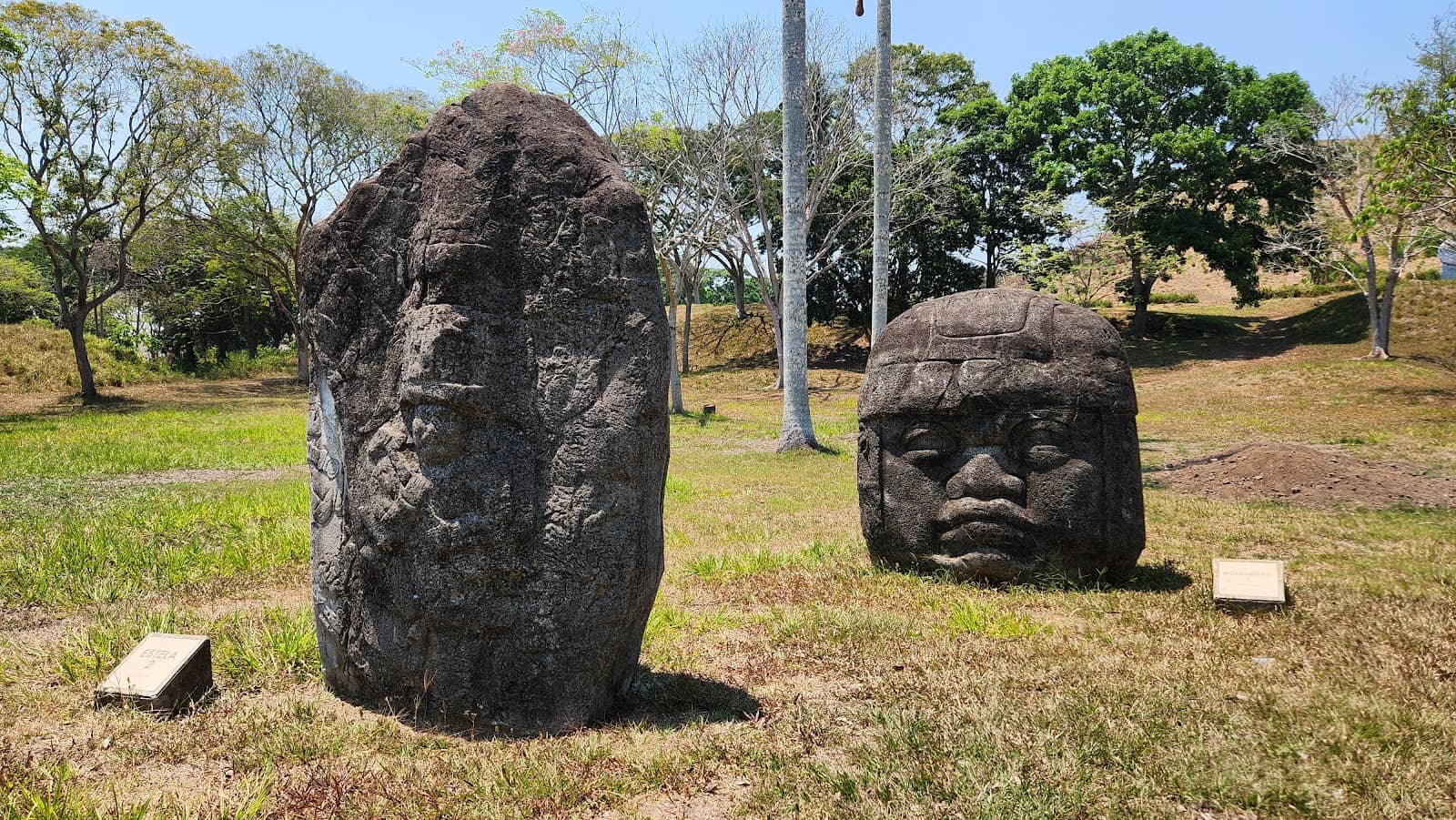 Olmec Stelae and Thrones