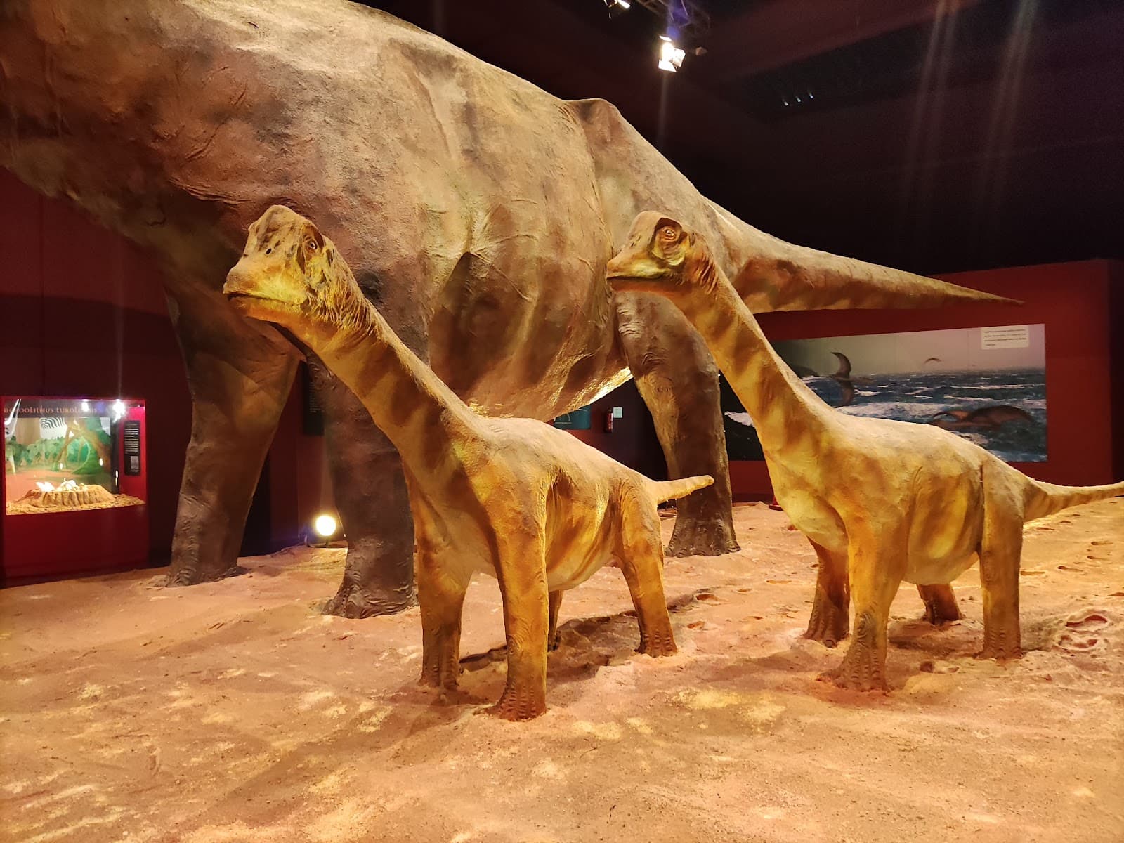 Dinópolis Legendark Galve - Image 1