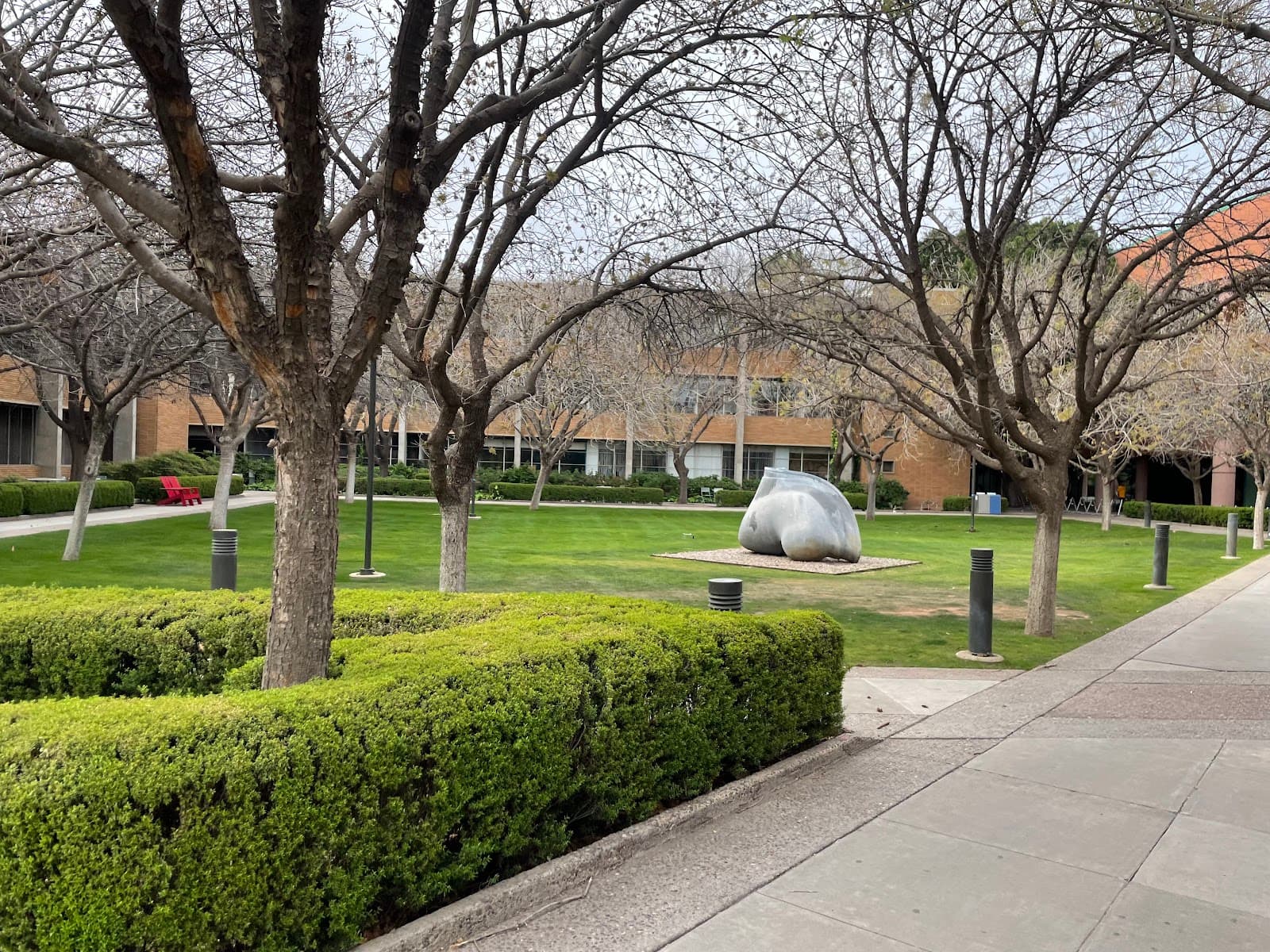 ASU Secret Garden - Image 1