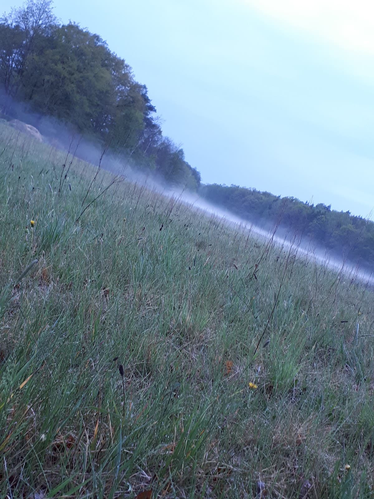 Hangelsberg - Image 1