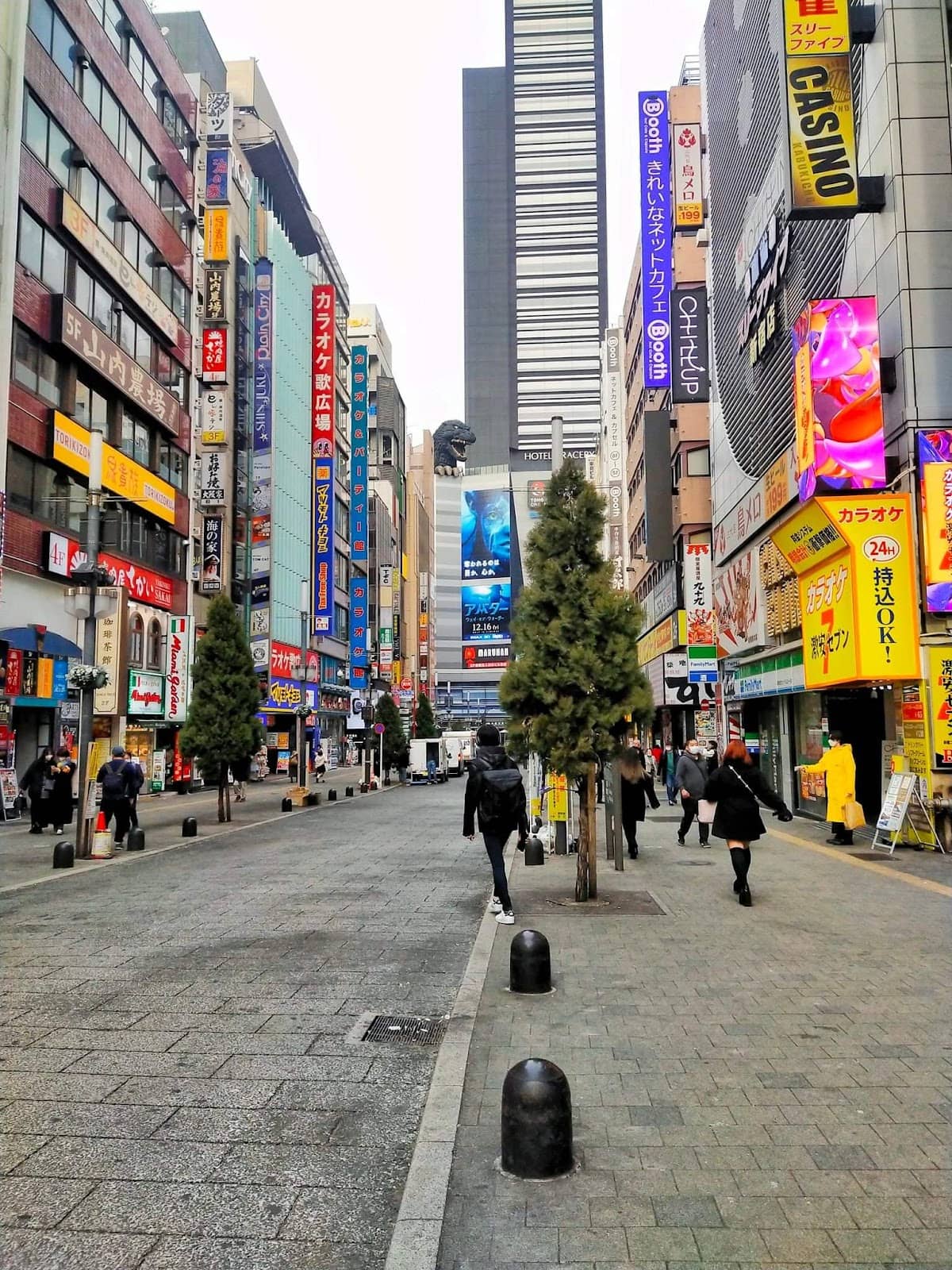 Kabukicho Entertainment District