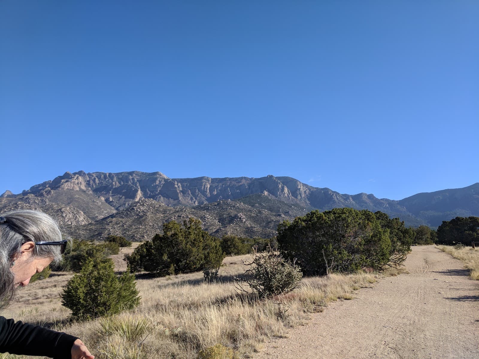 Pino Trail - Image 1