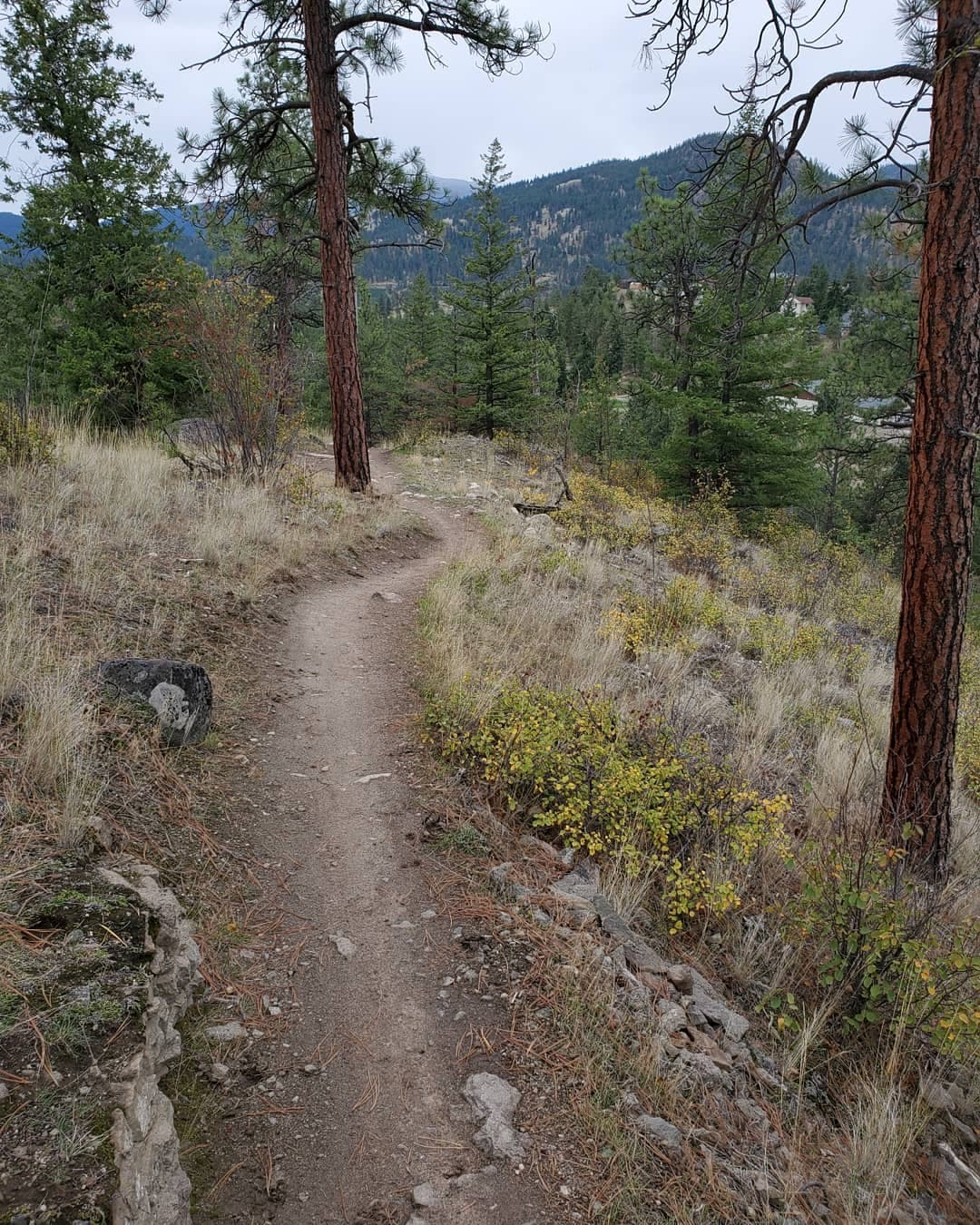 Cartwright Mountain Trails - Image 1