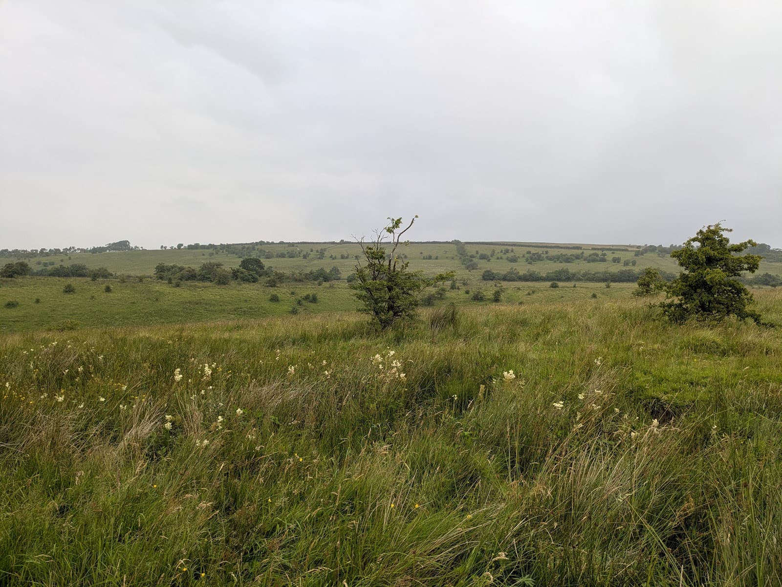 Slievenacloy Nature Reserve - Image 1