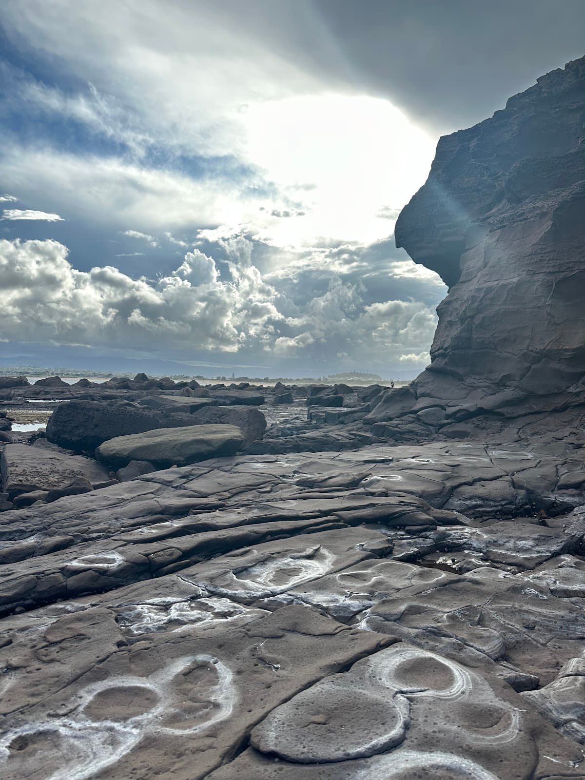 Windang Island Nature Reserve - Image 1
