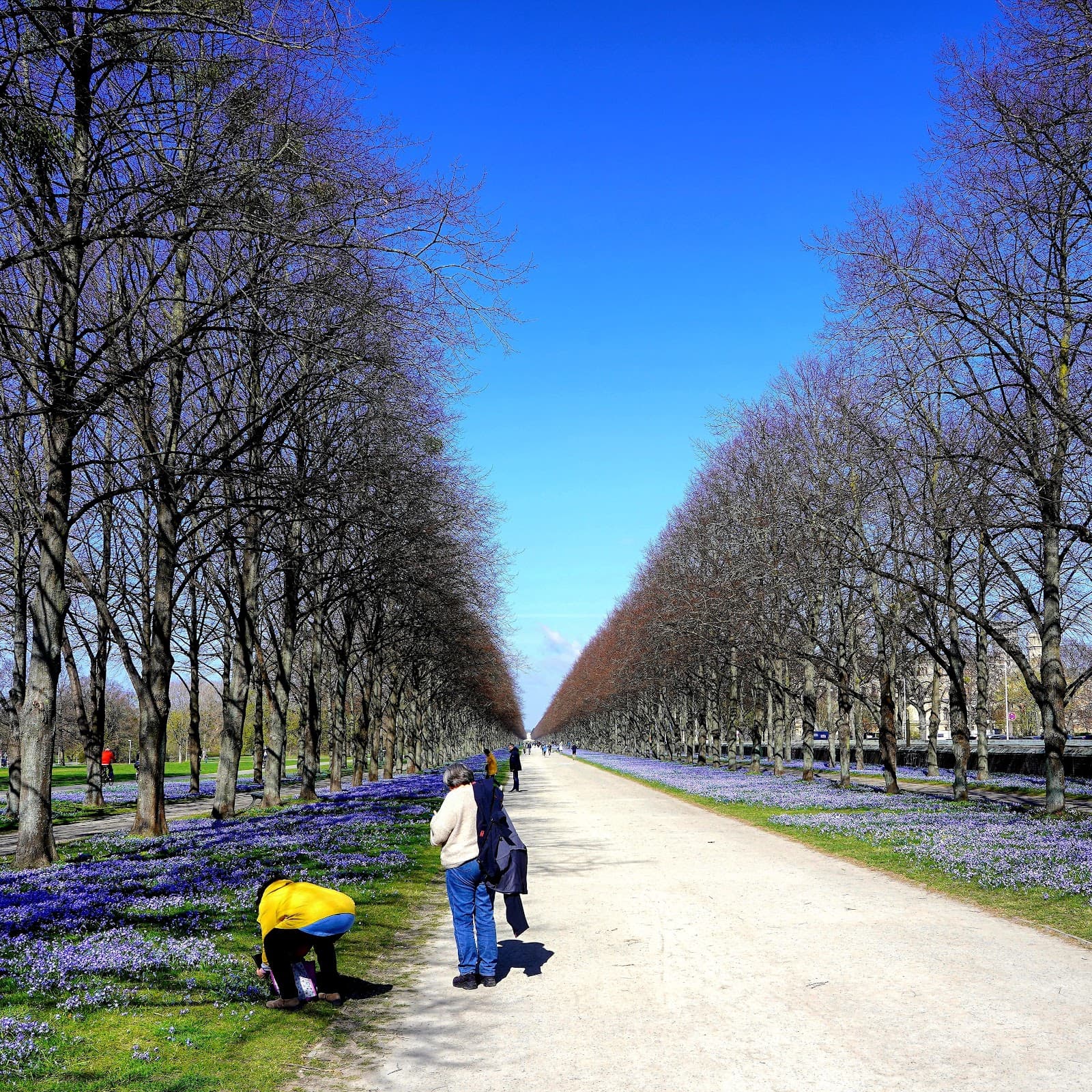 Herrenhäuser Allee Hannover - Image 1