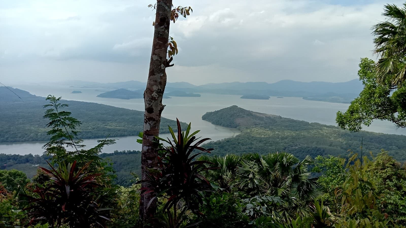 Kraburi River Estuary Viewpoint - Image 1