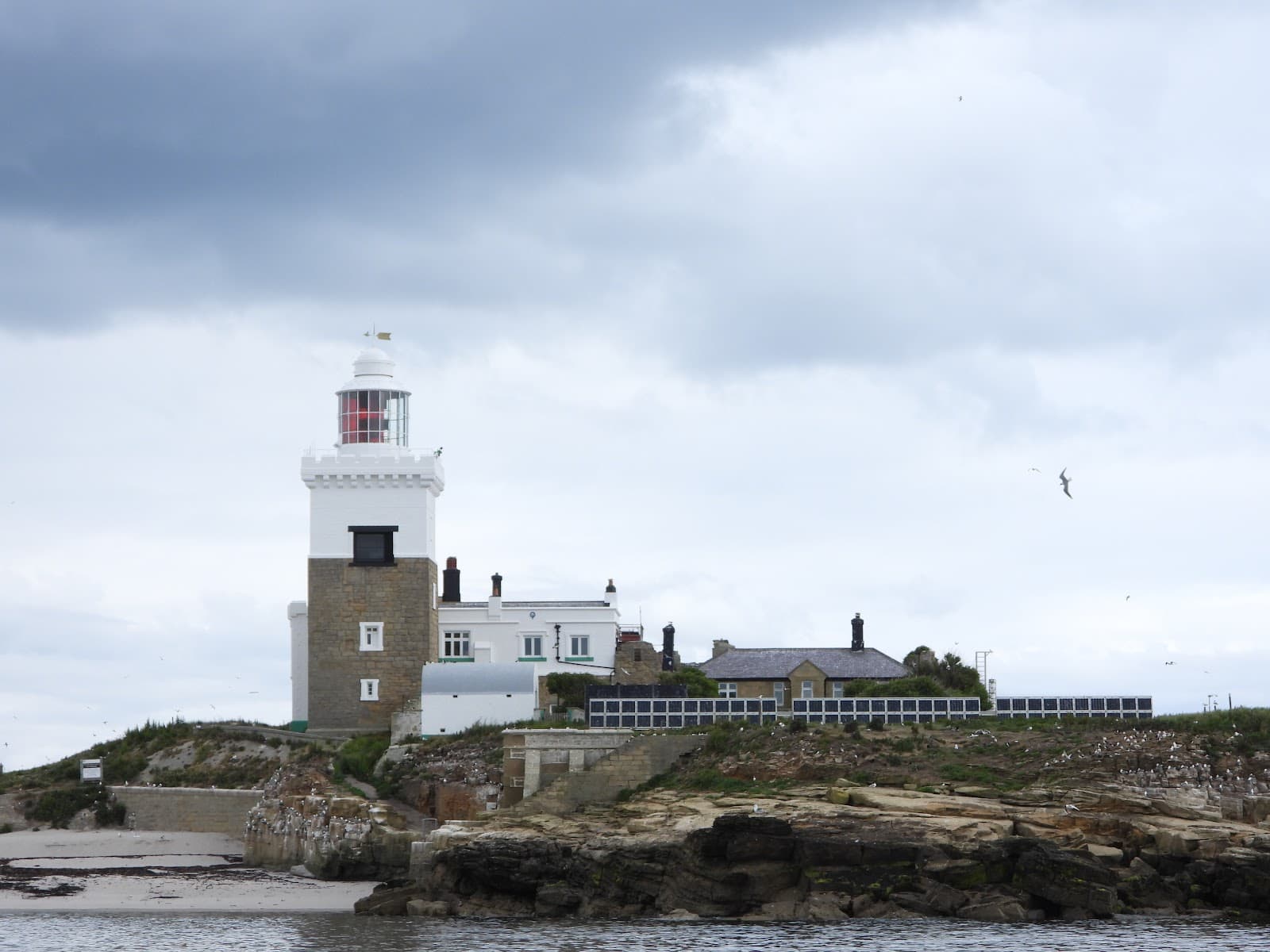 Coquet Island Northumberland - Image 1