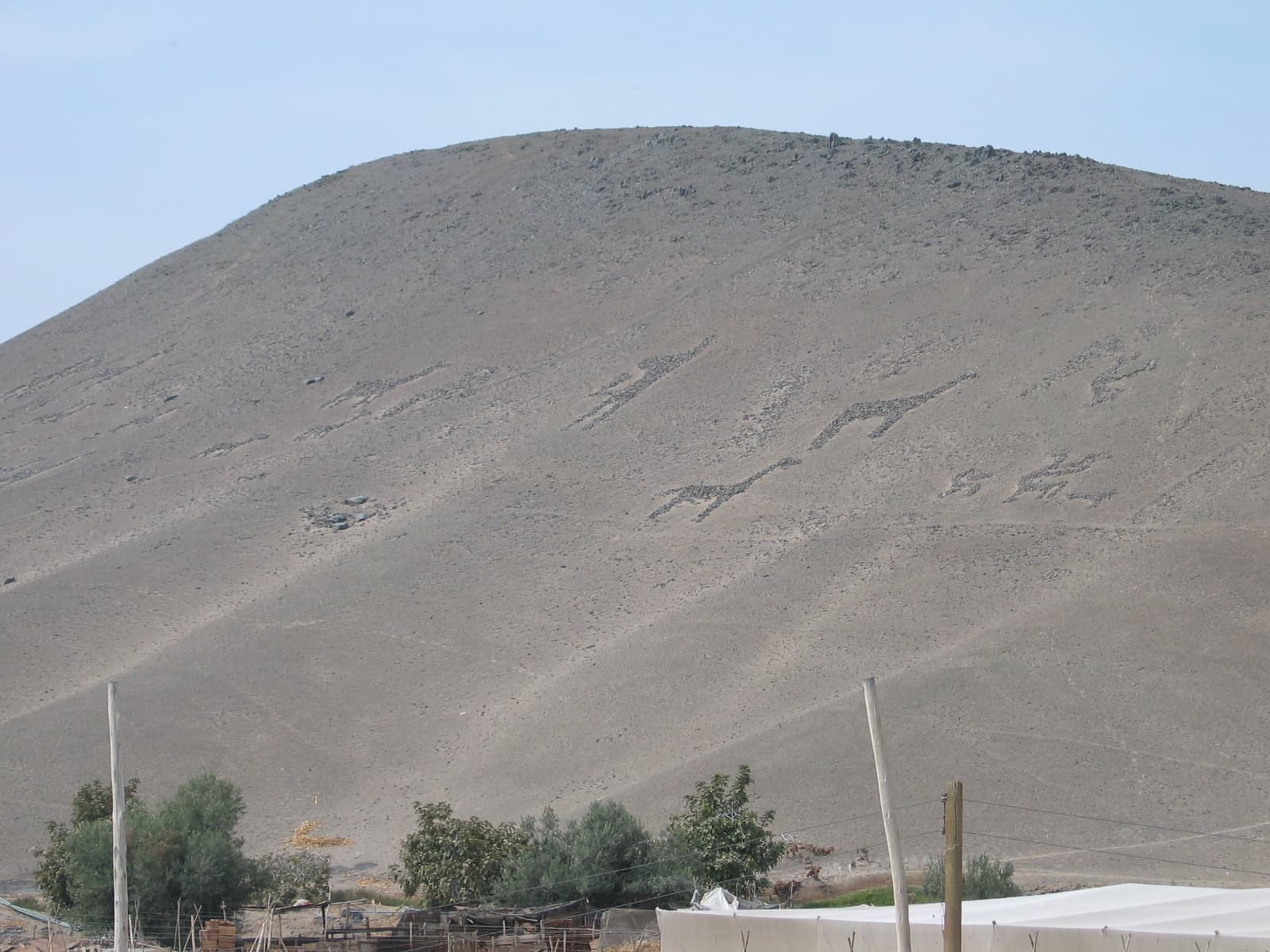 Geoglifos de Cerro Sombrero Azapa - Image 1