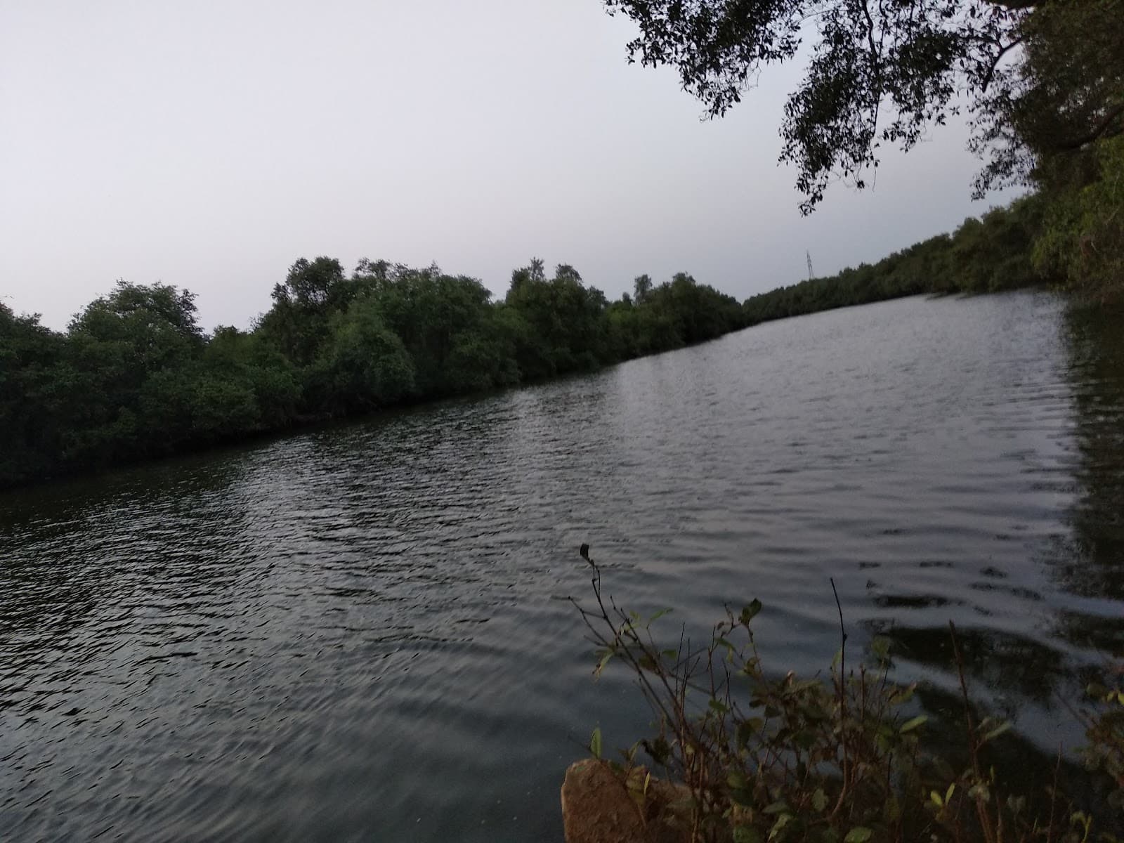 Cumbarjua Backwaters - Image 1