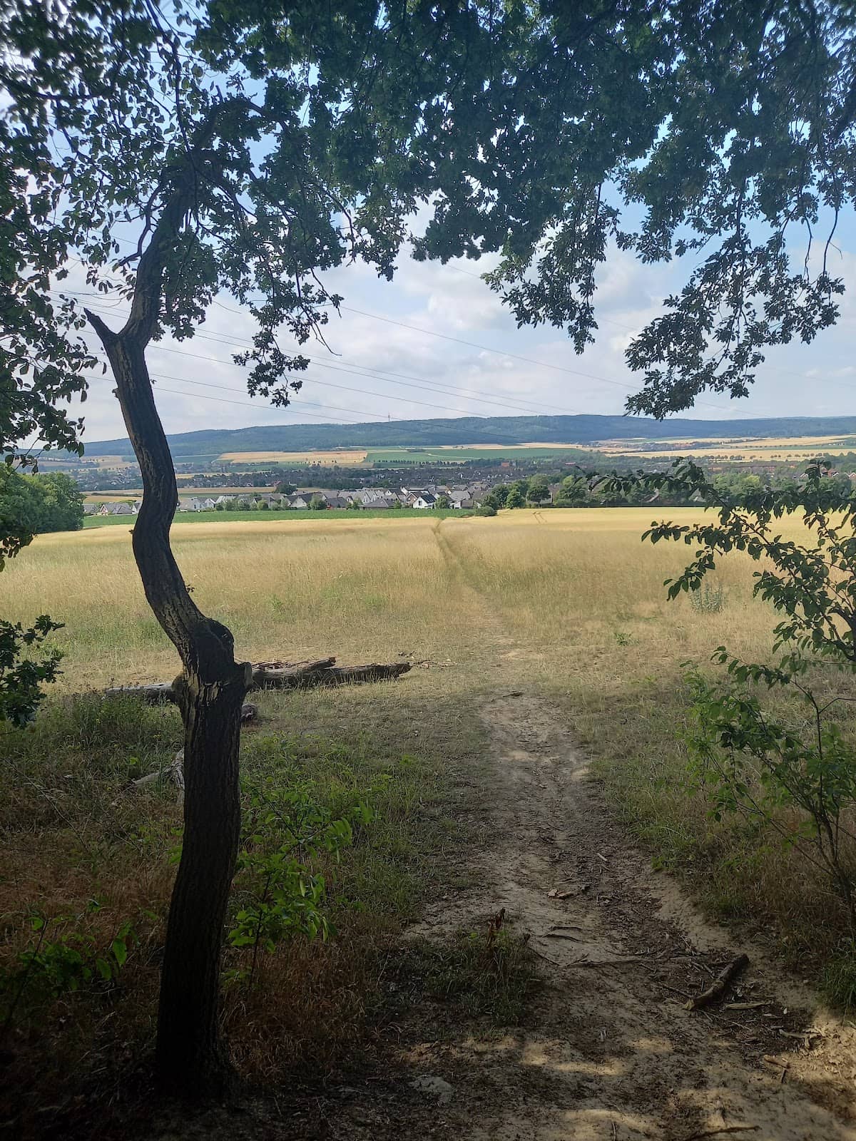 Tranquil Walking Paths