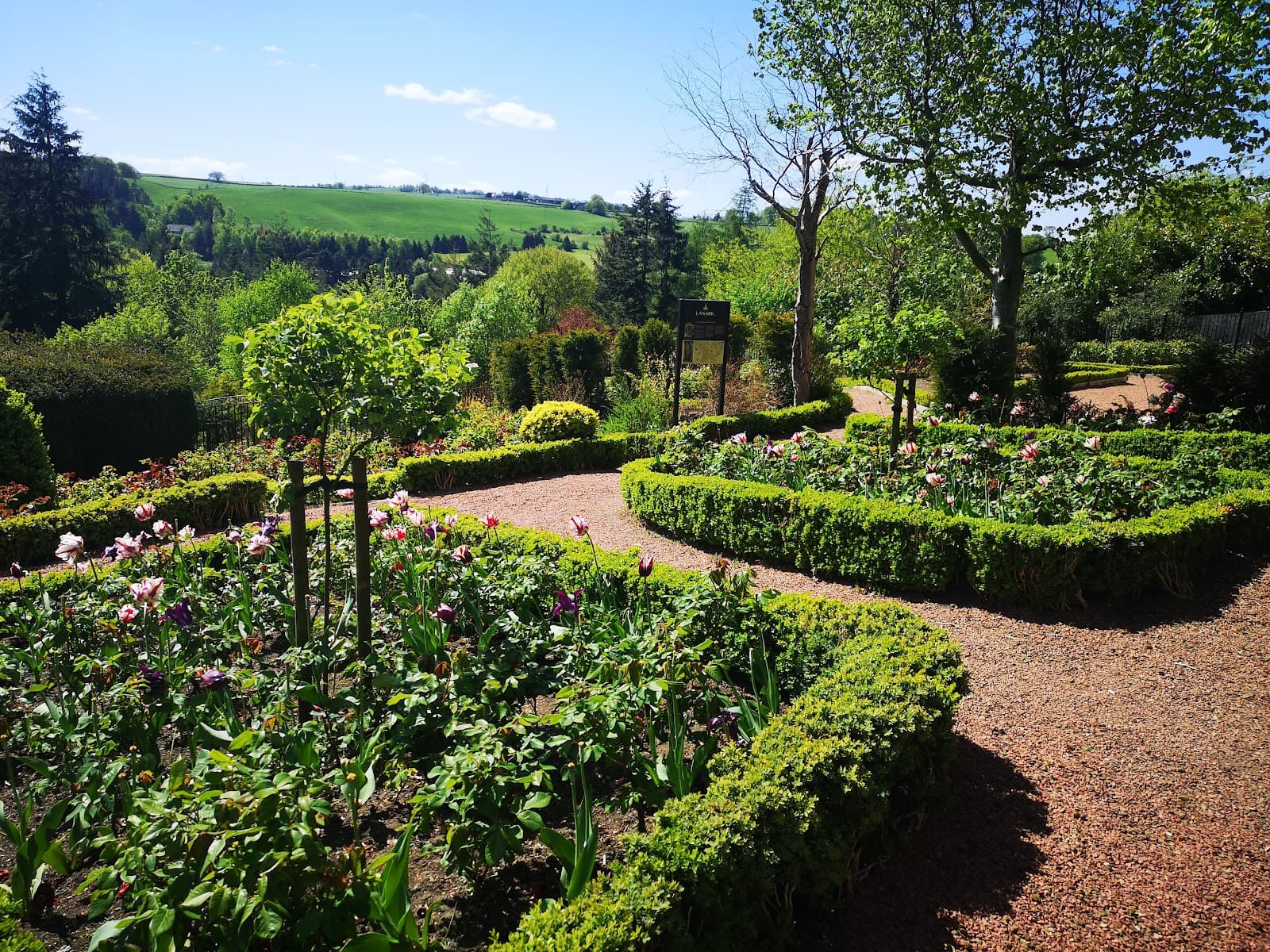 Castlebank Park & Gardens - Image 1