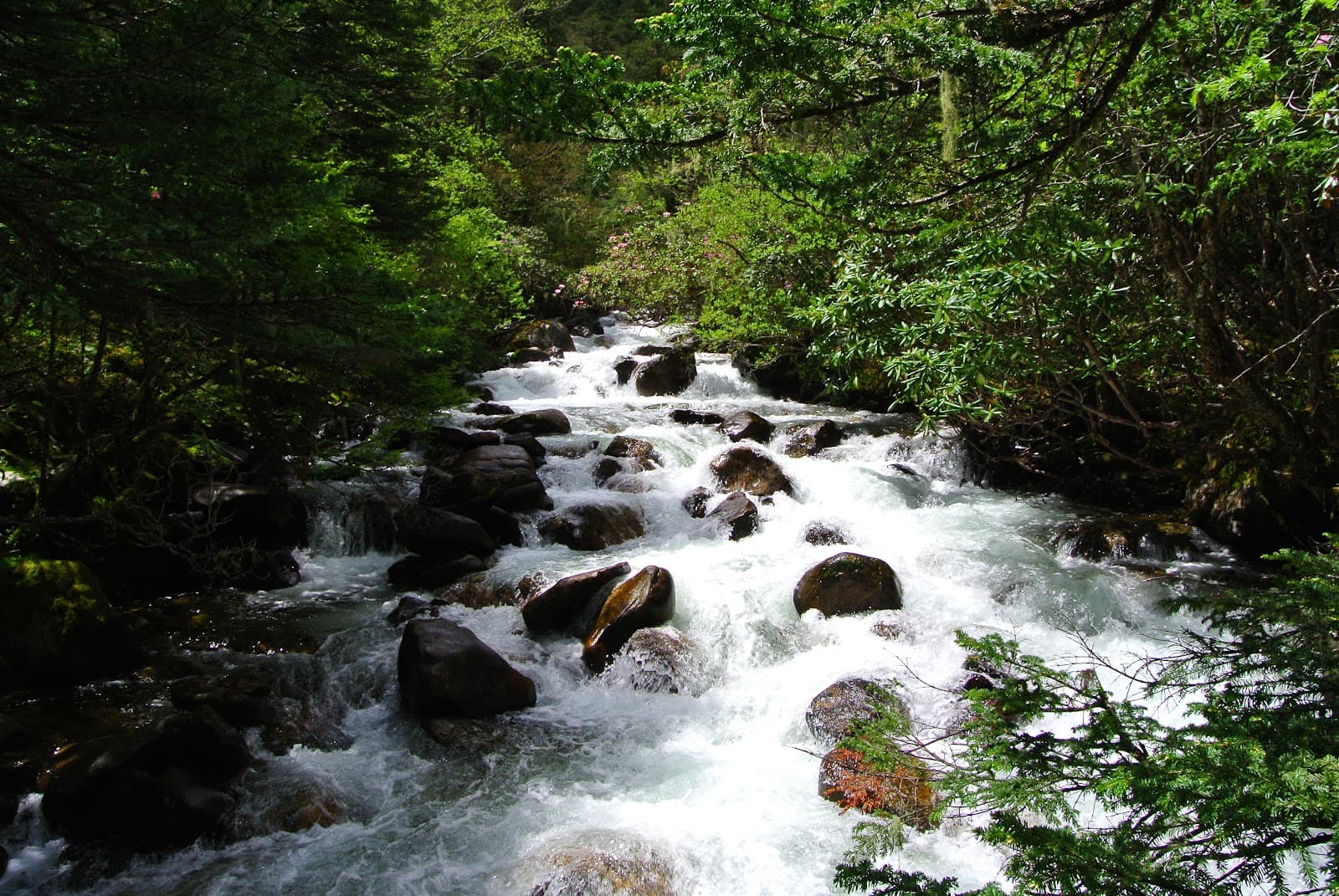 Mugecuo Lake Kangding China - Image 1