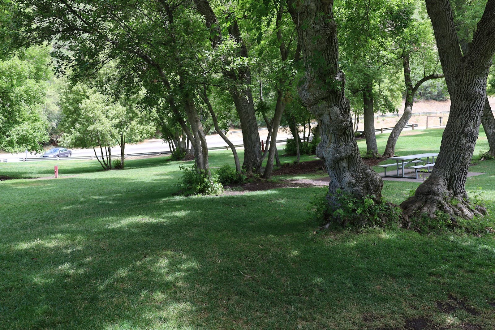 South Fork Canyon - Image 1