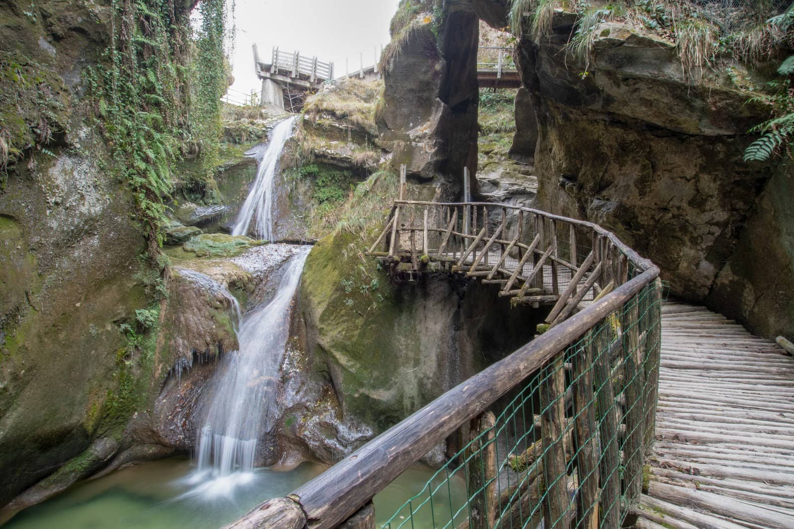 Historical and Ecological Insights