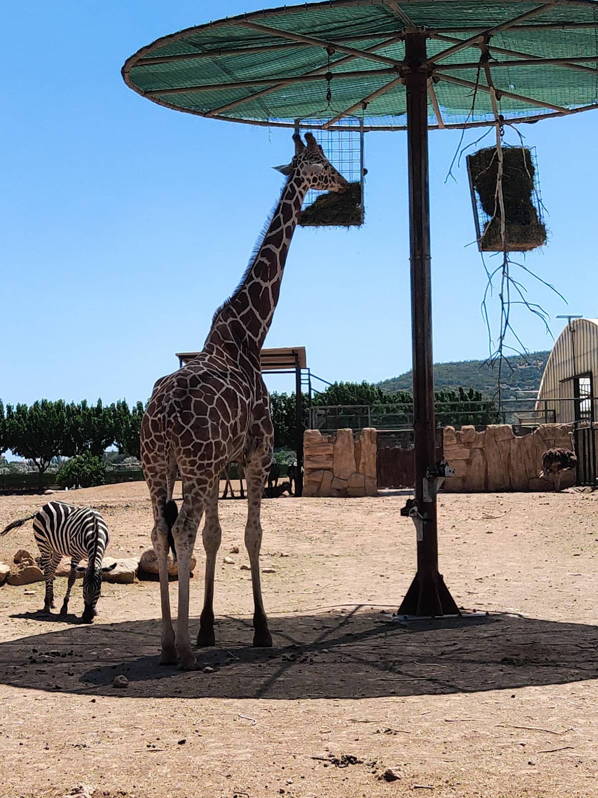 Charming Street Atmosphere