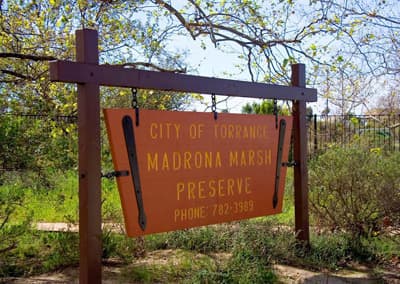 Madrona Marsh Preserve & Nature Center - Image 1