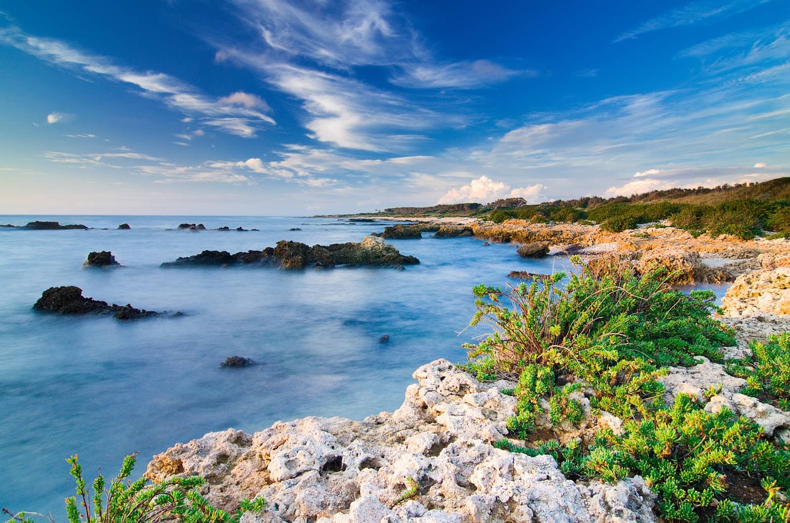 Picnic Spots with a View