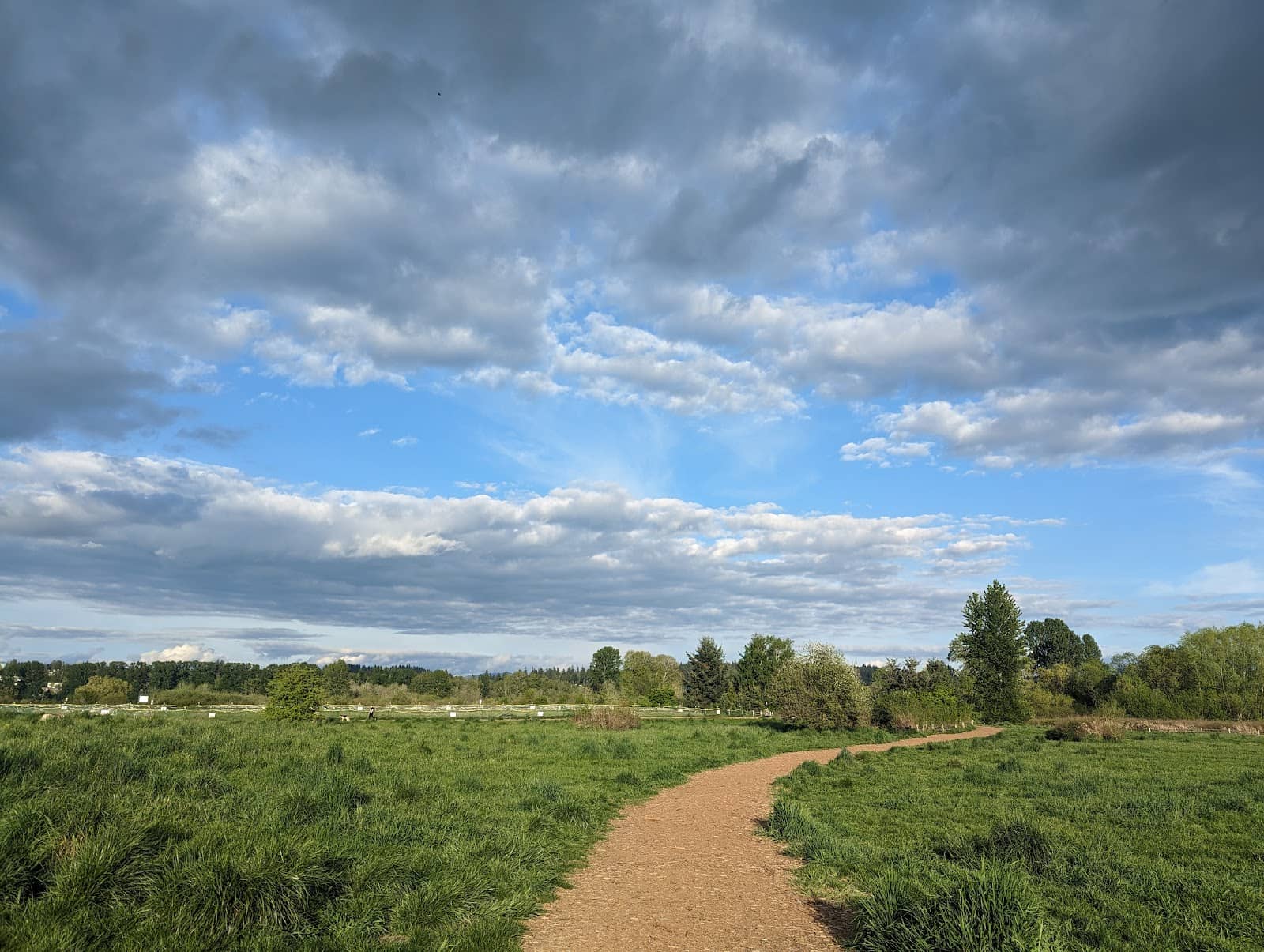 Scenic Walking Trails