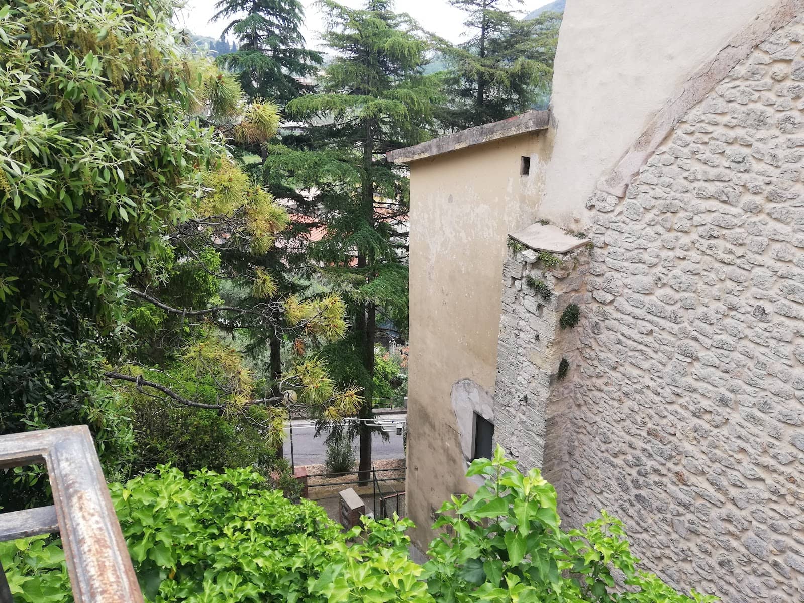 Vineyards Above Manarola