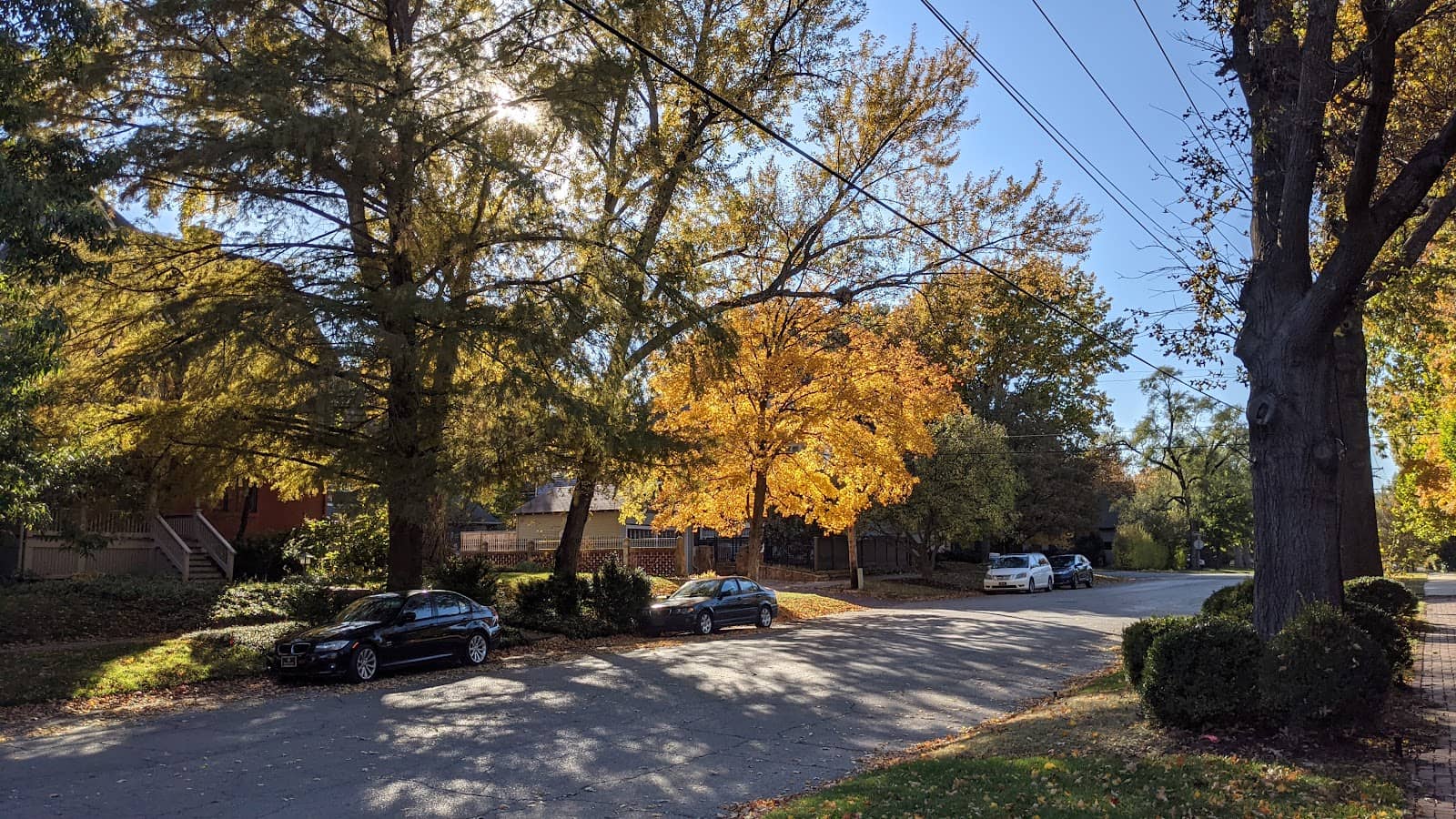 Local History Museum