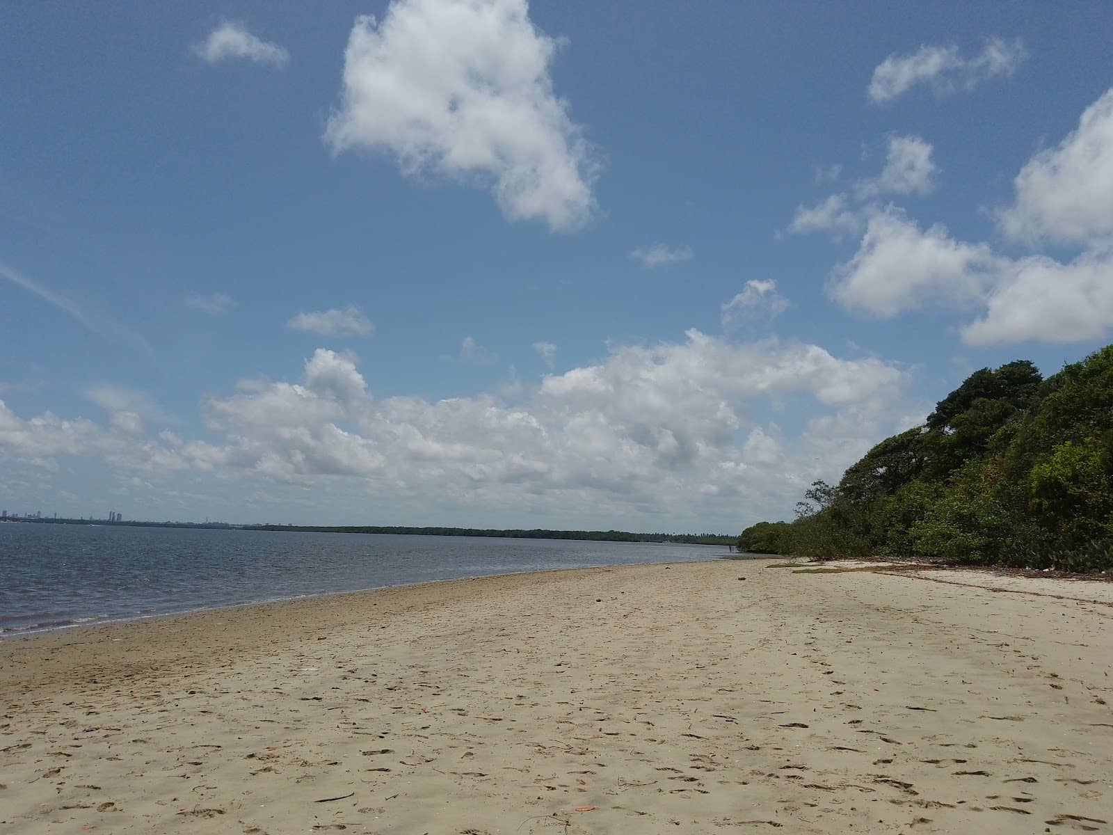 Unique Island Ecosystem