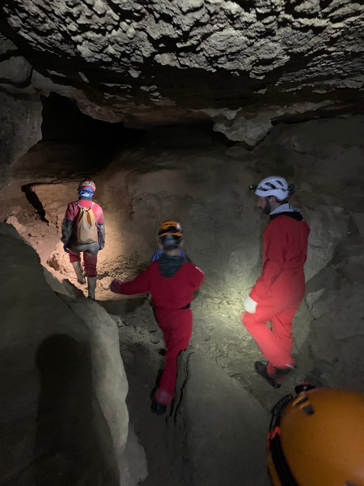 Grotta Tanaccia - Image 1