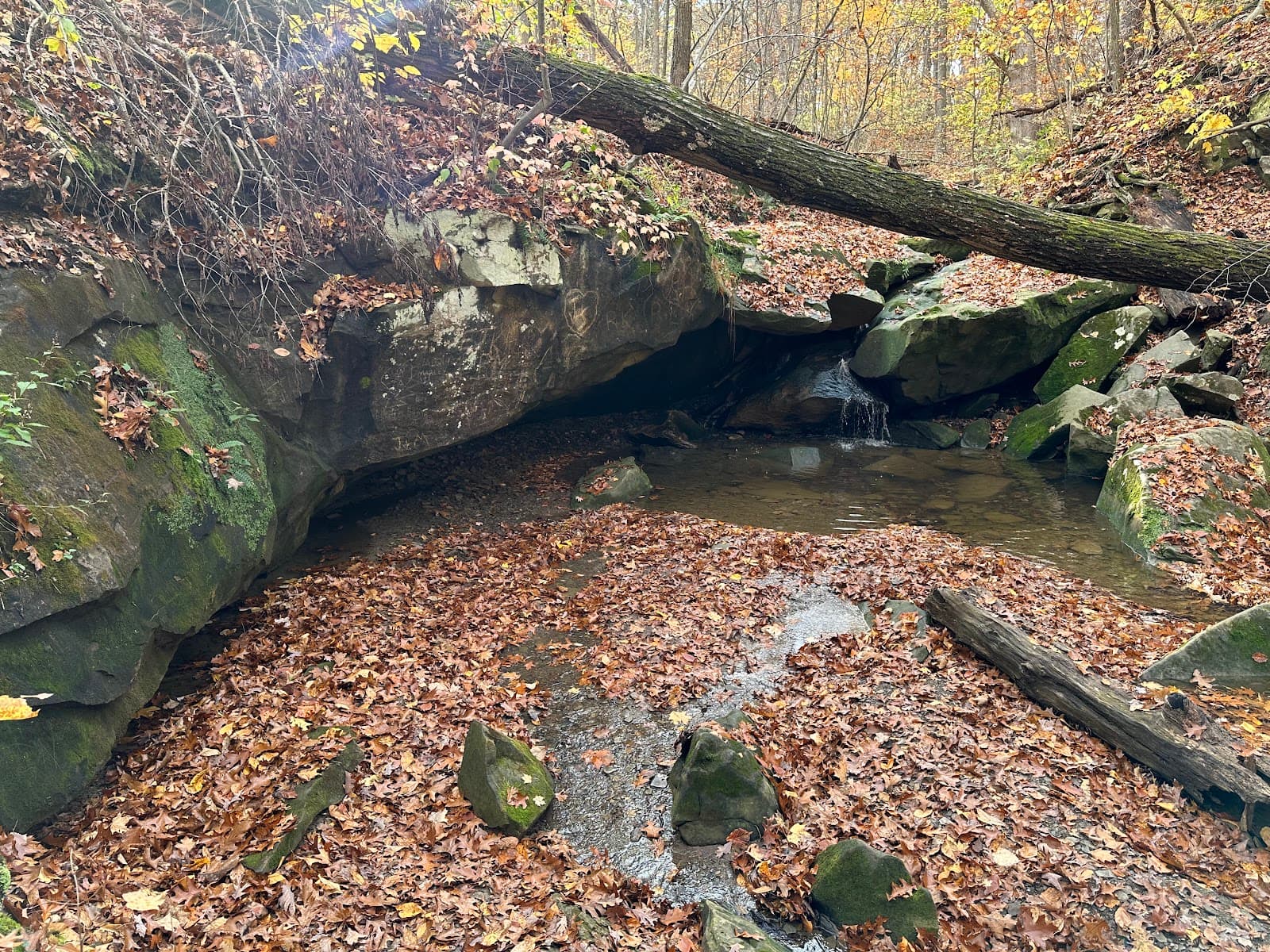 Deer Lick Cave - Image 1