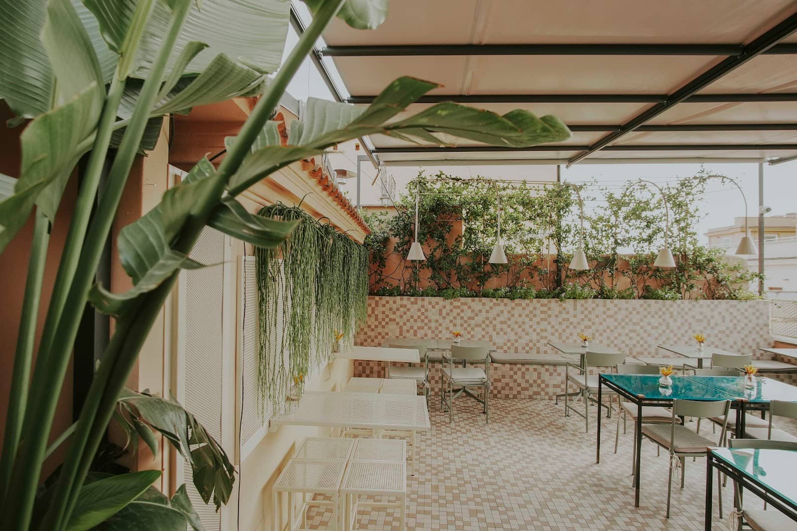 Trendy Atmosphere & Decor