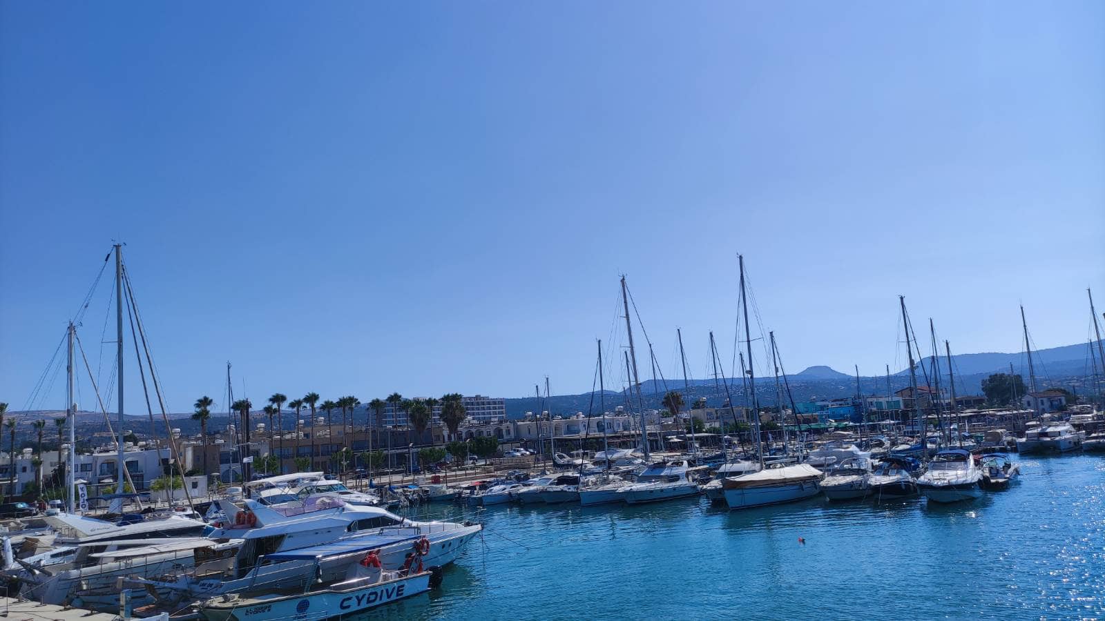 Fresh Seafood Dining