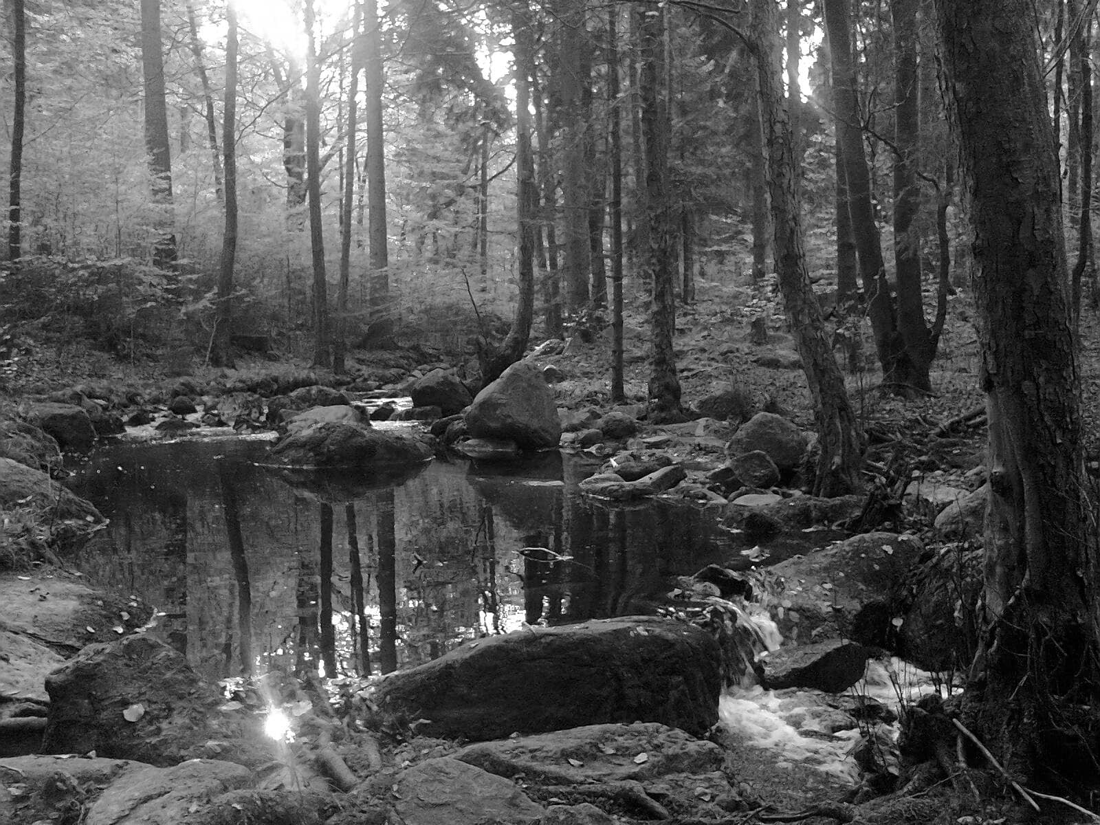 Steam Train Spectacle