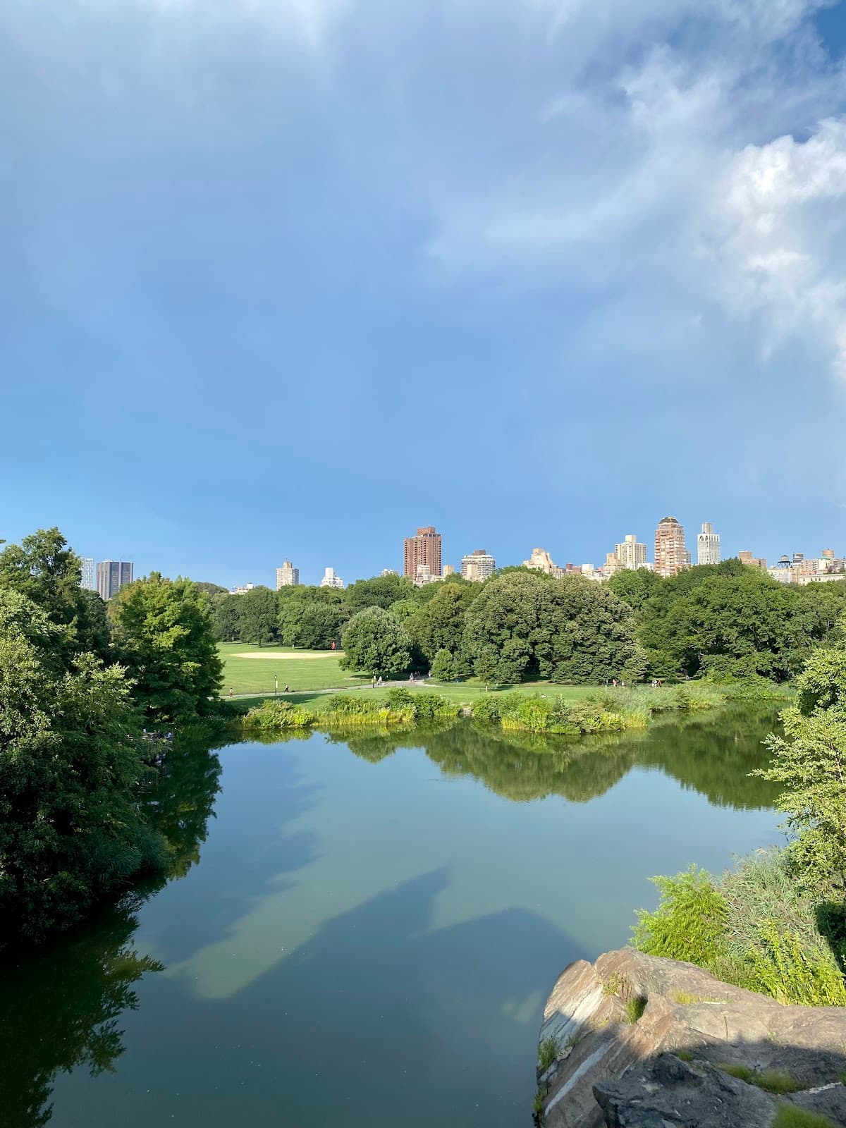 Turtle Pond - Image 1