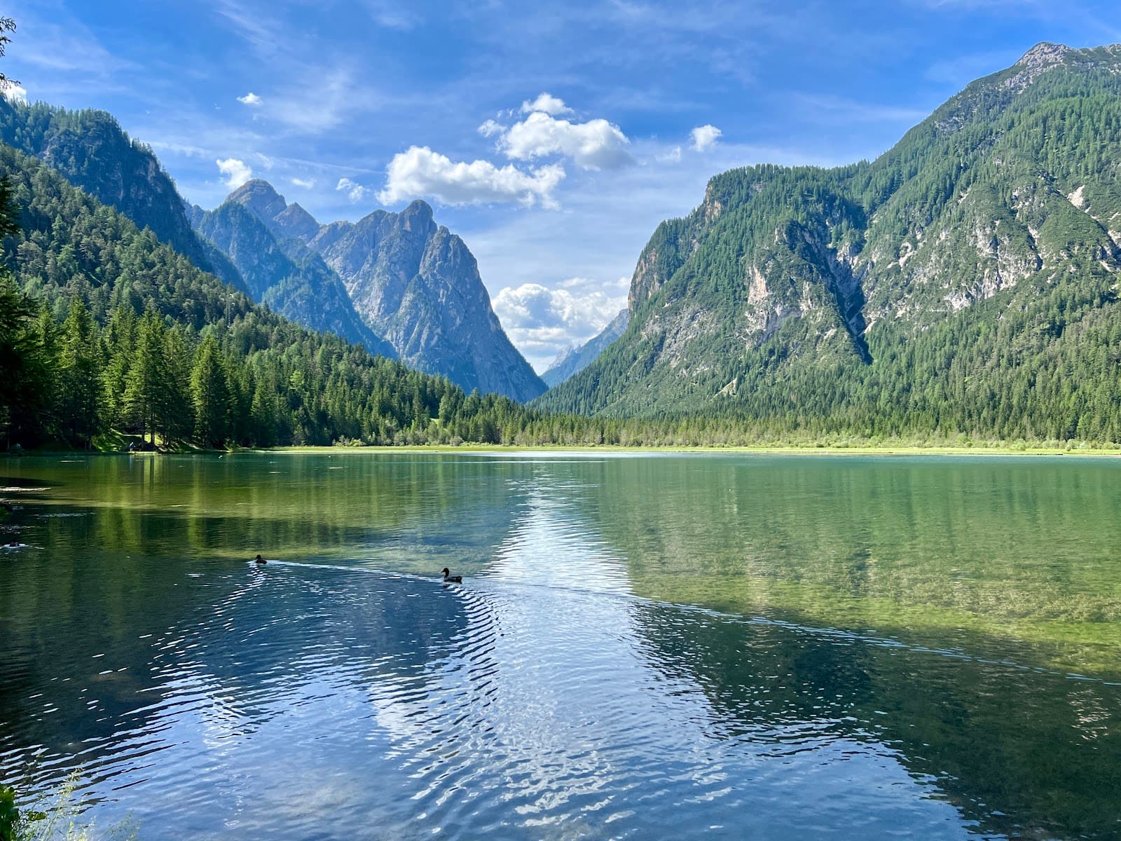 Lake Dobbiaco - Image 1