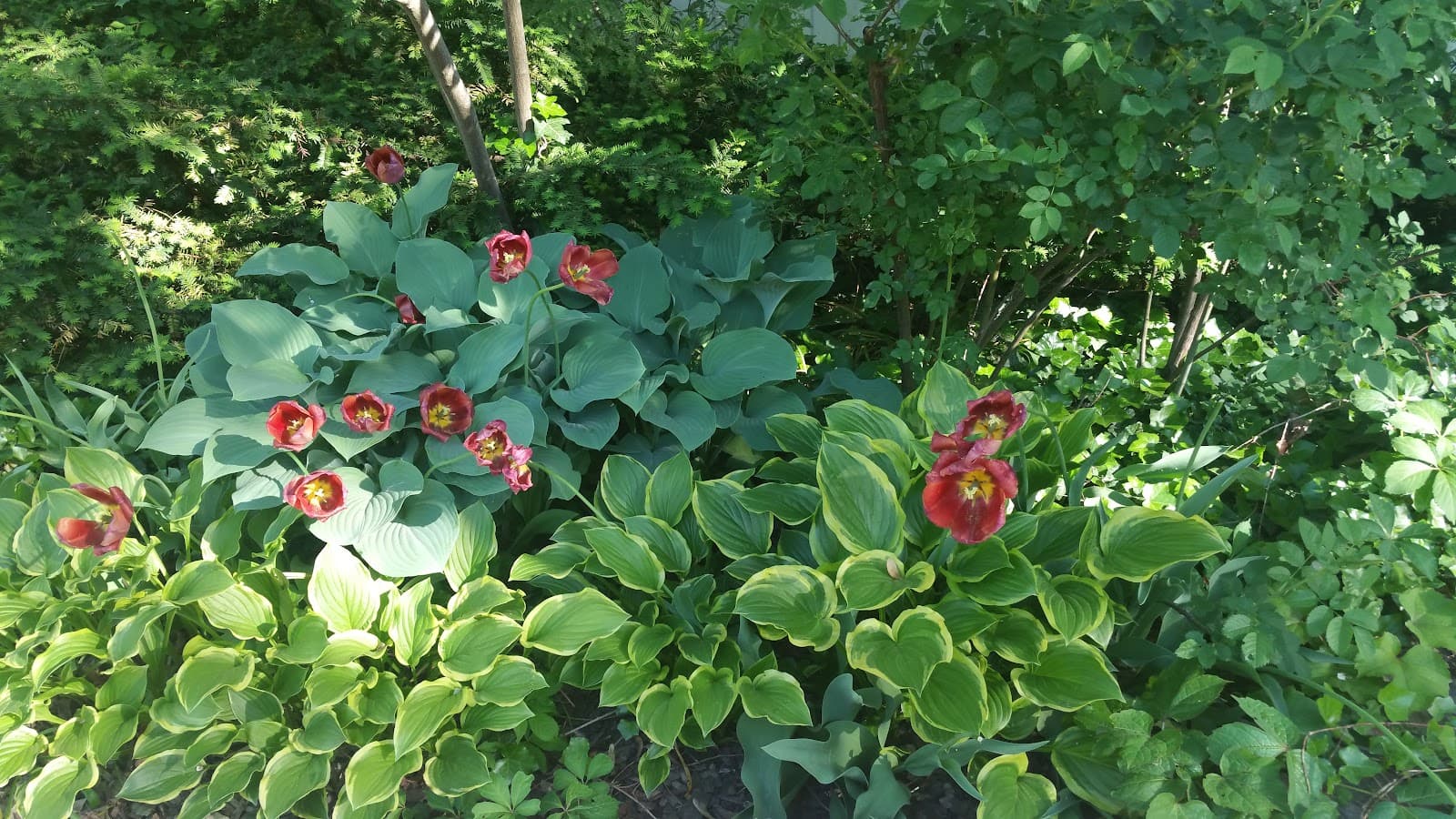 South End Toronto - Image 1