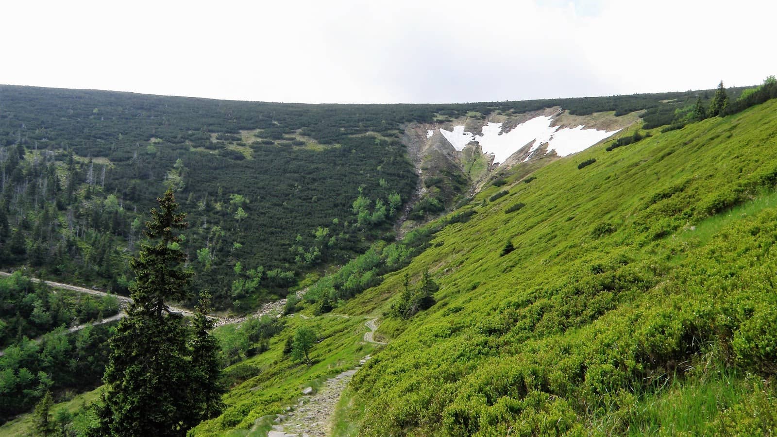 Refreshing Mountain Water