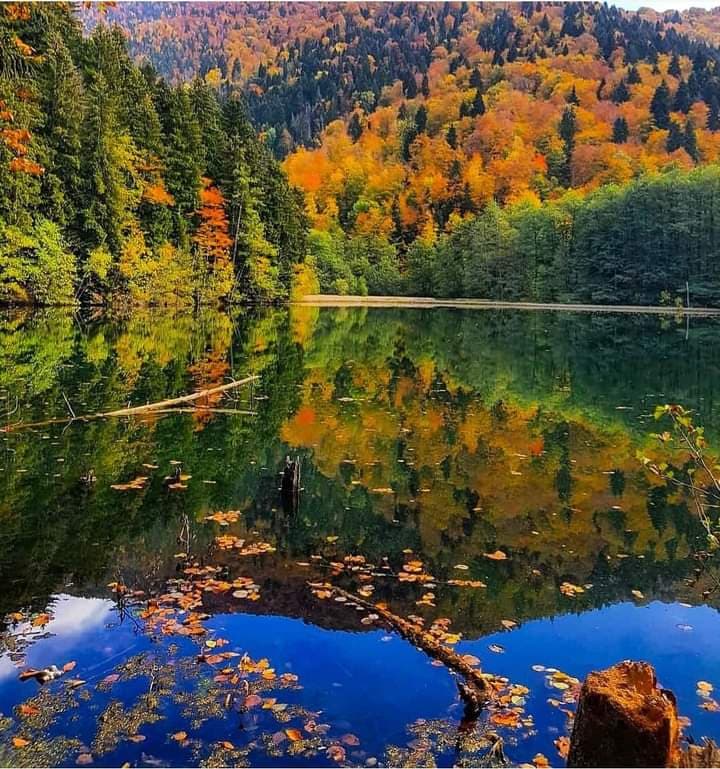 Bateti Lake - Image 1