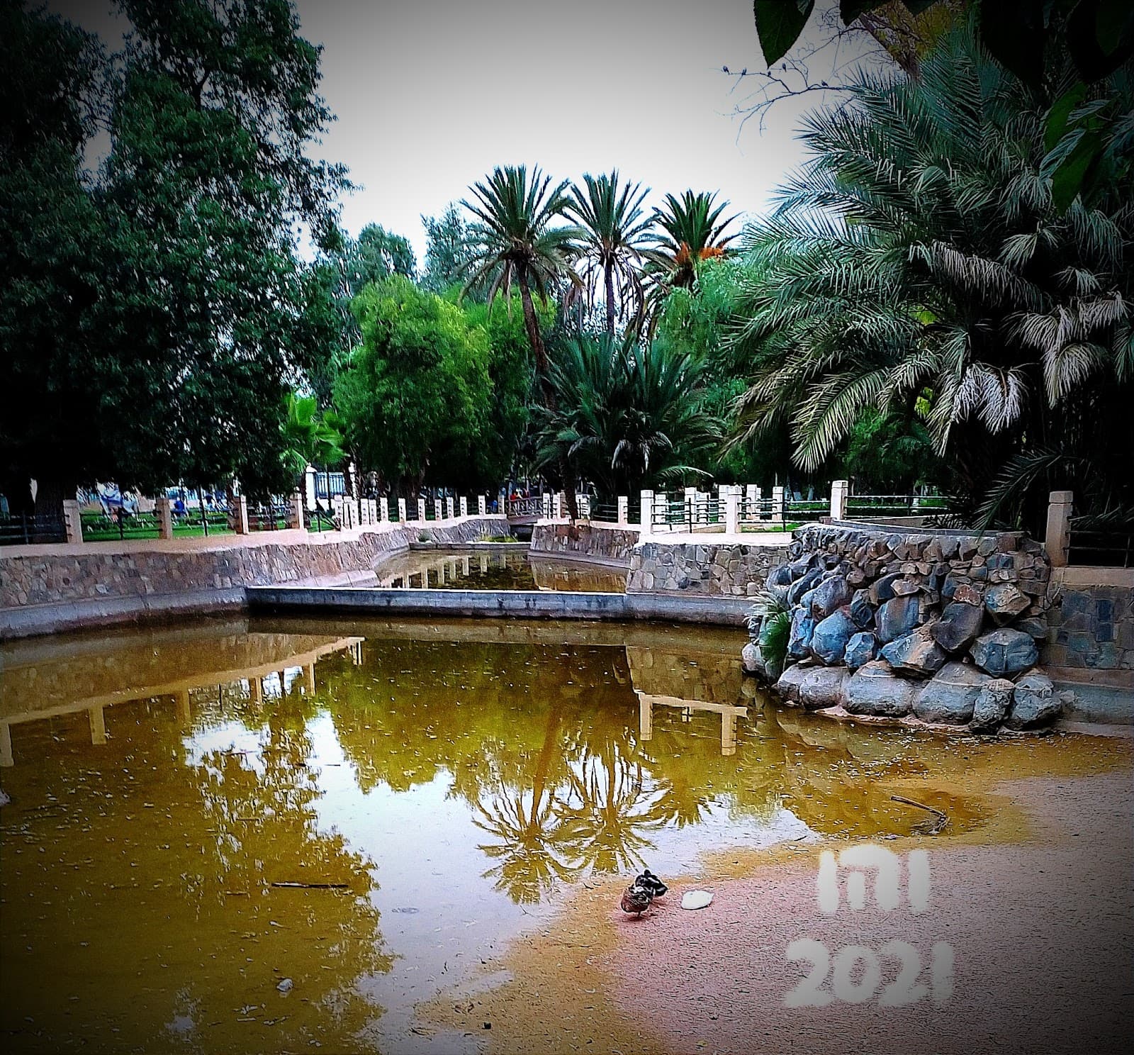 Sidi Yahya Oasis (Oujda) - Image 1