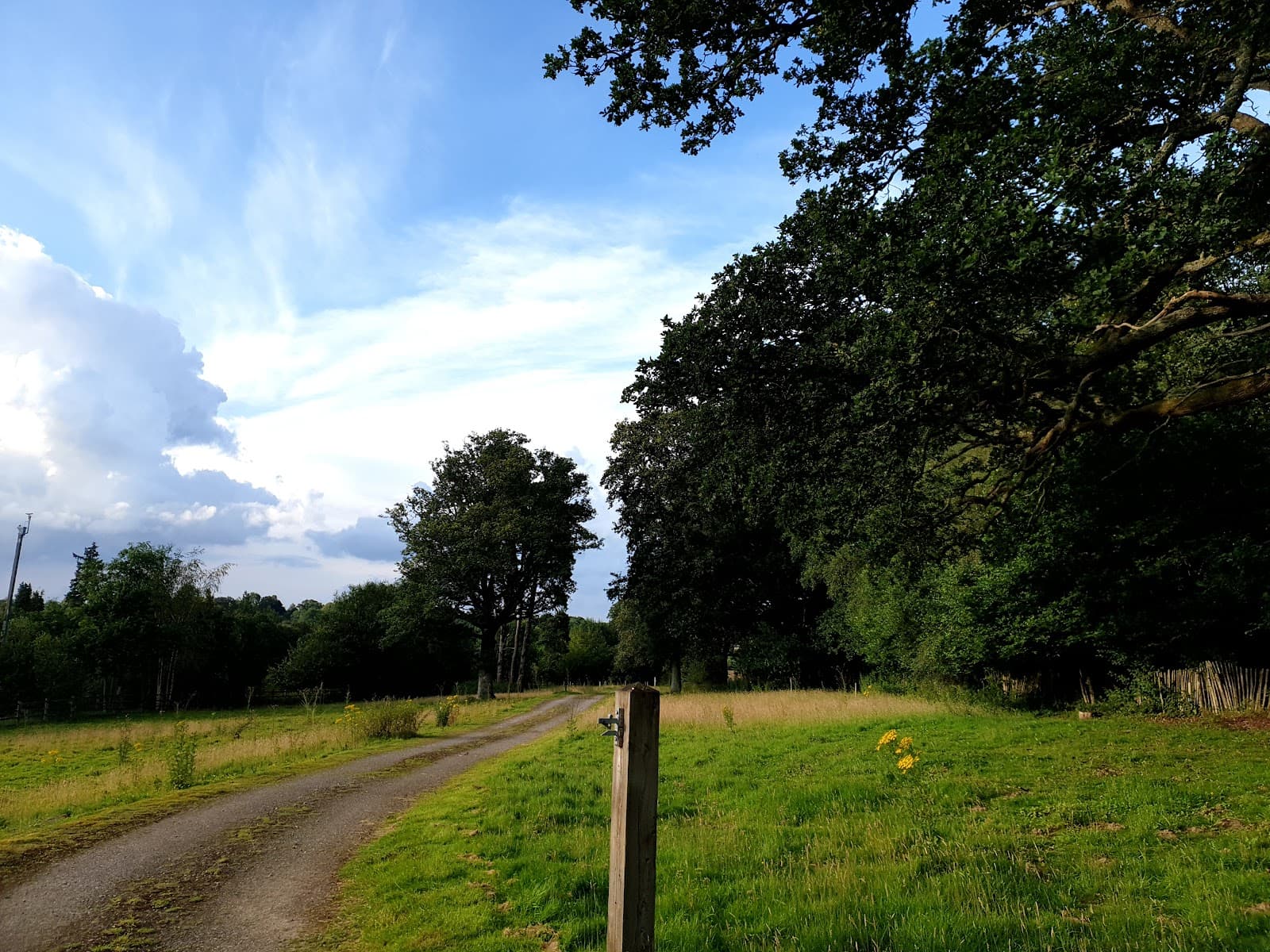 Maidenbower (neighborhood) - Image 1