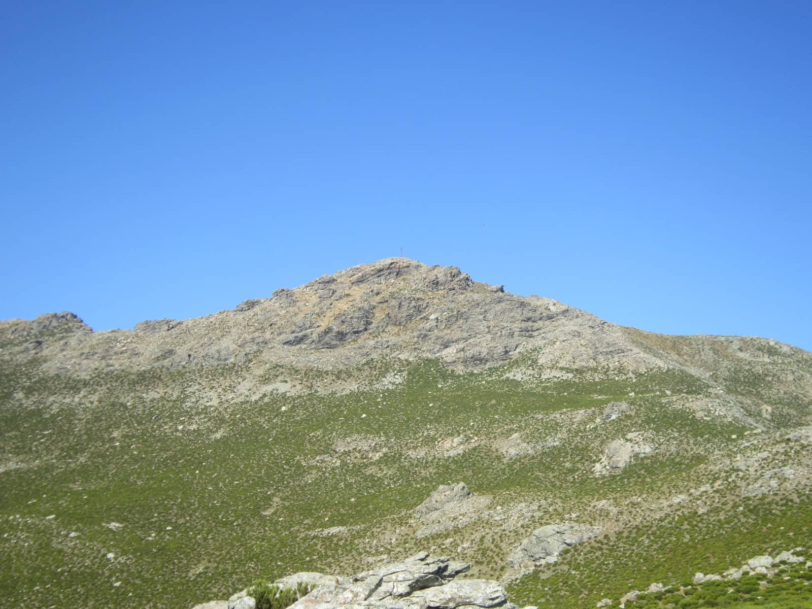 Vertical photo