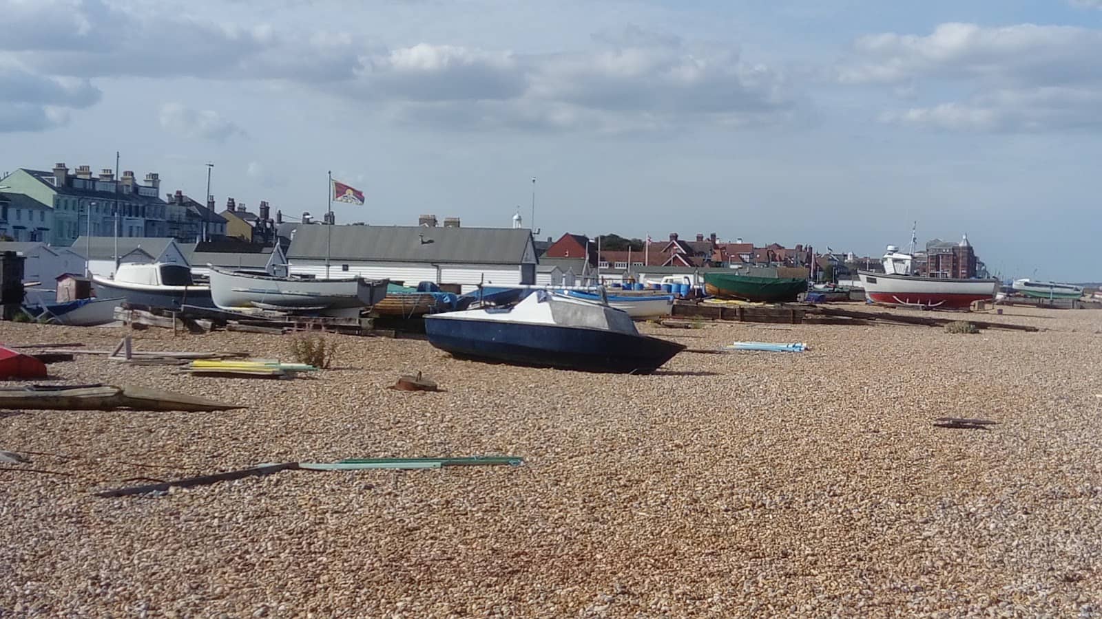 Chalk Grassland Meadows