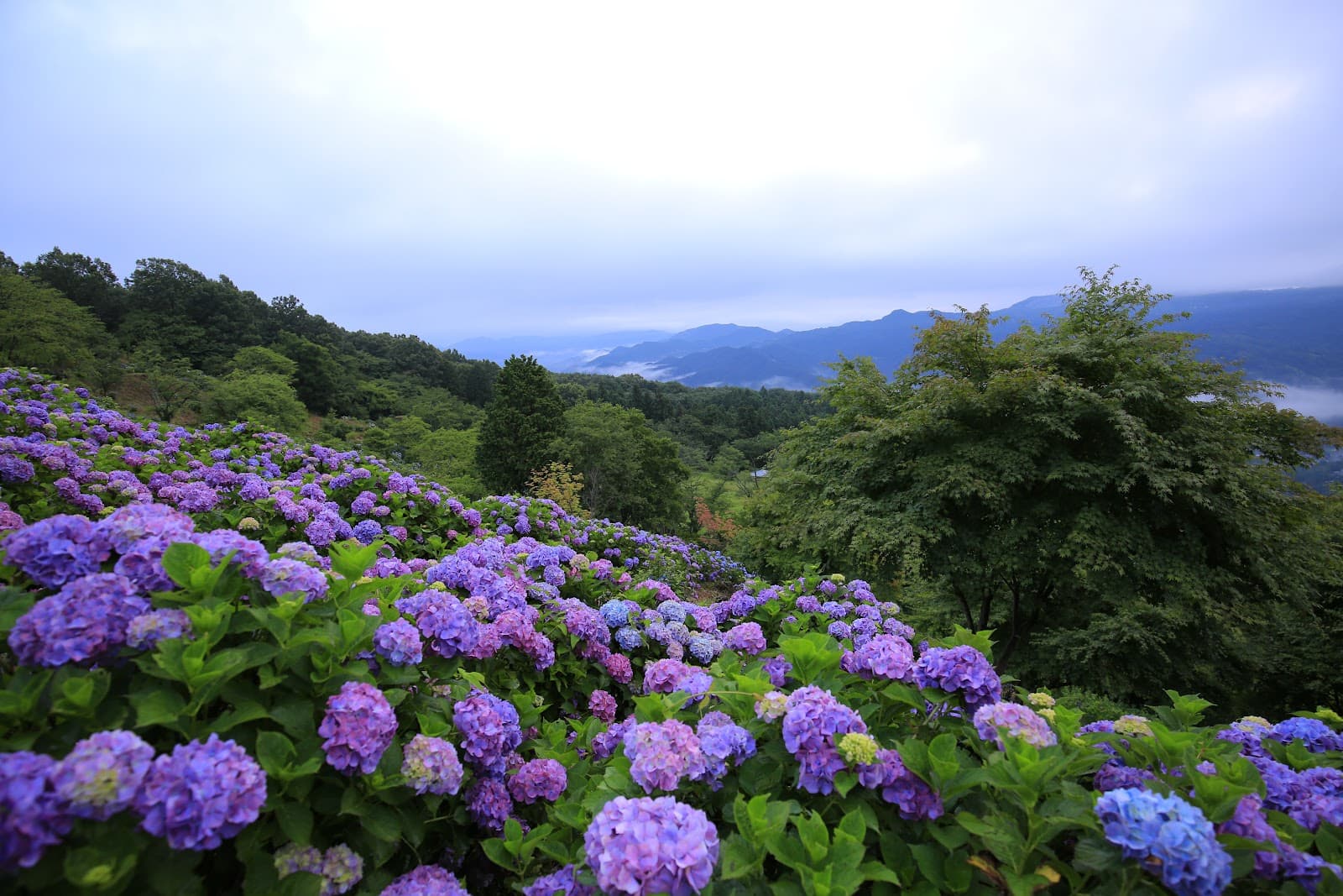 Minoyama Park - Image 1