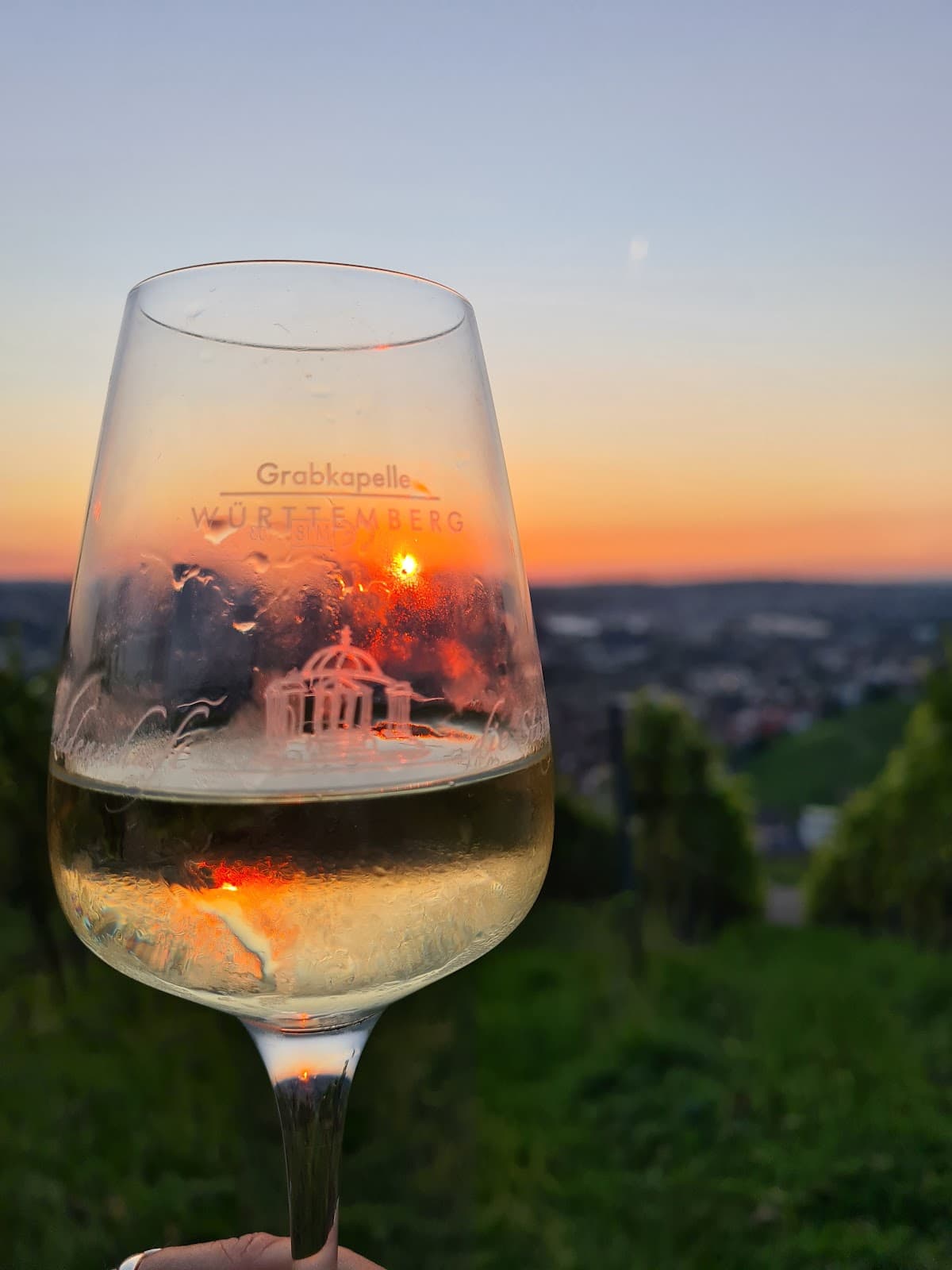 Stuttgart Wine Trail - Image 1