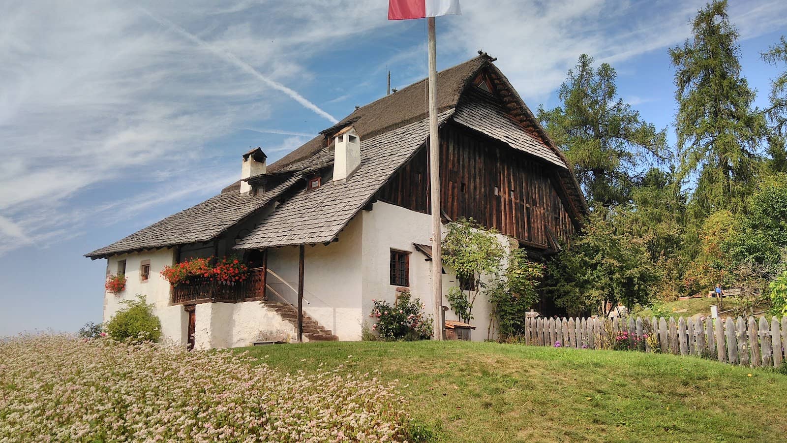 Bee Conservation Insights