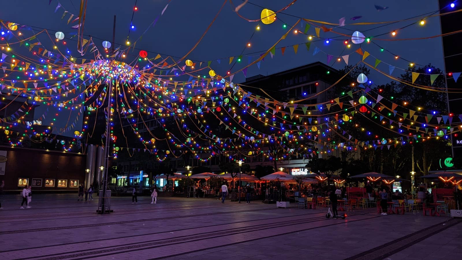 Live Music & Festivals