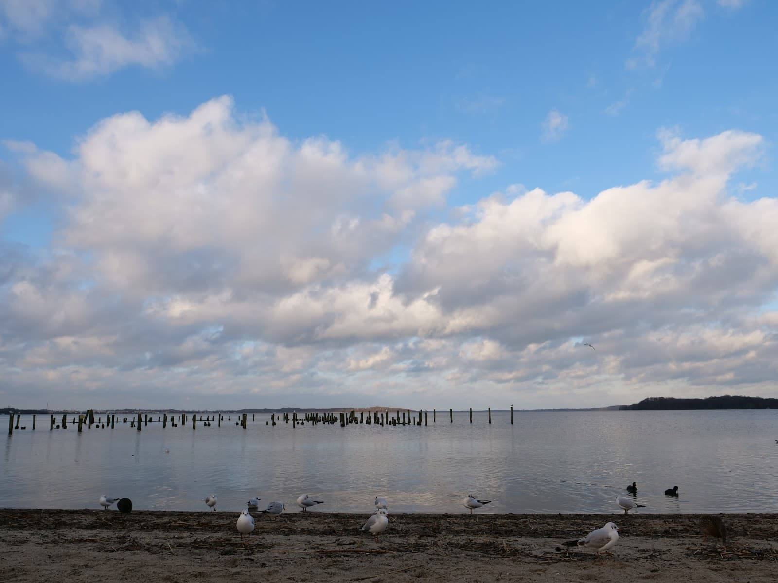 Zippendorf - Image 1